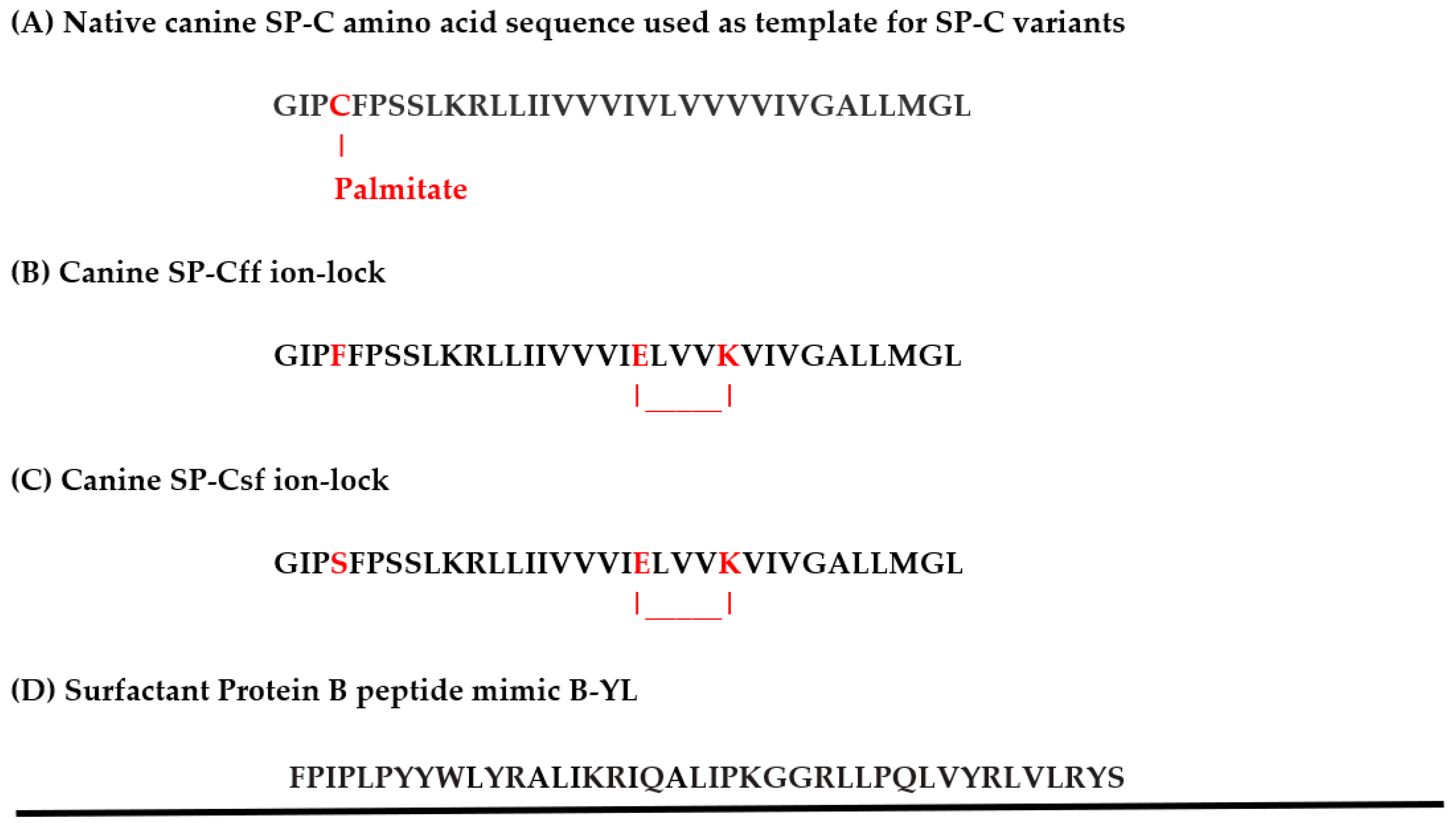 Biomedicines 12 00163 g001