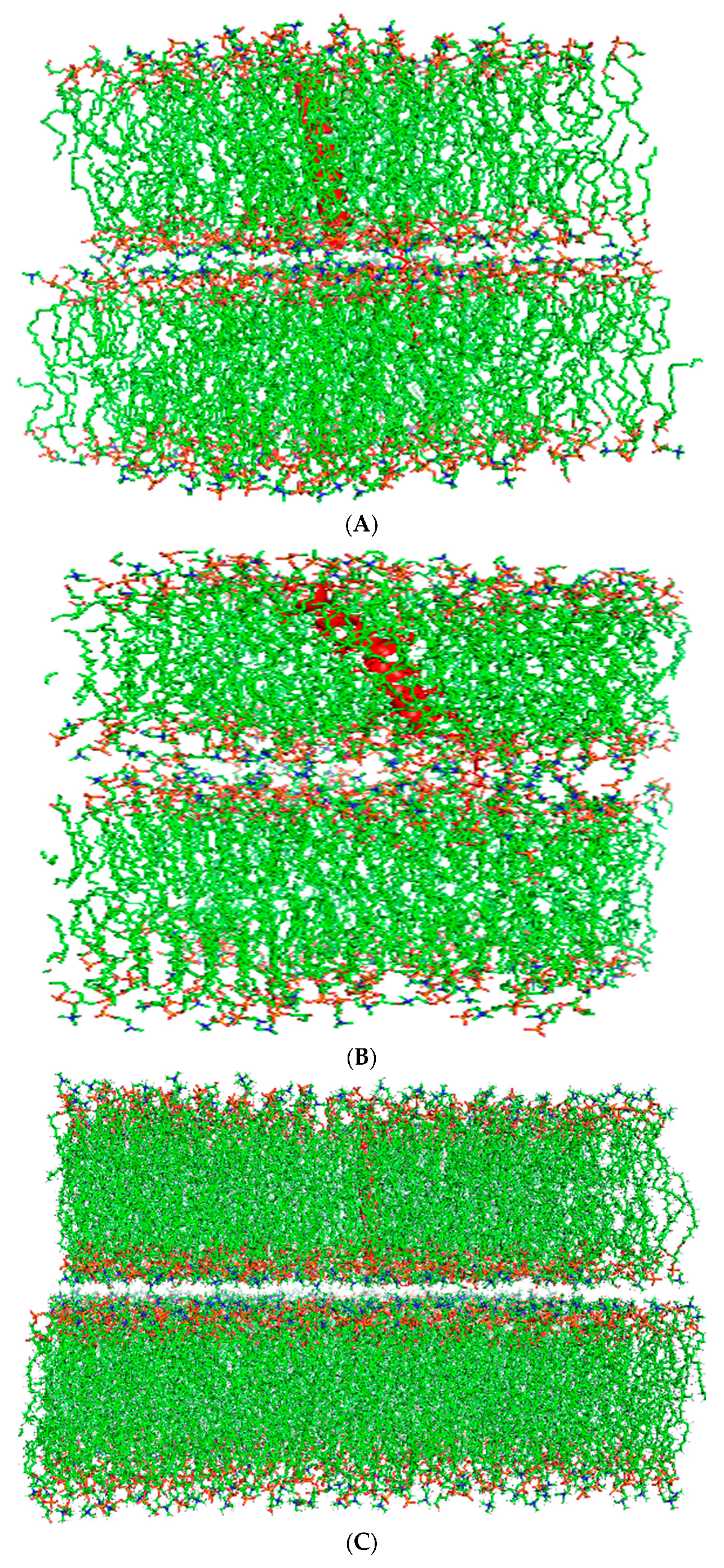 Biomedicines 12 00163 g003a