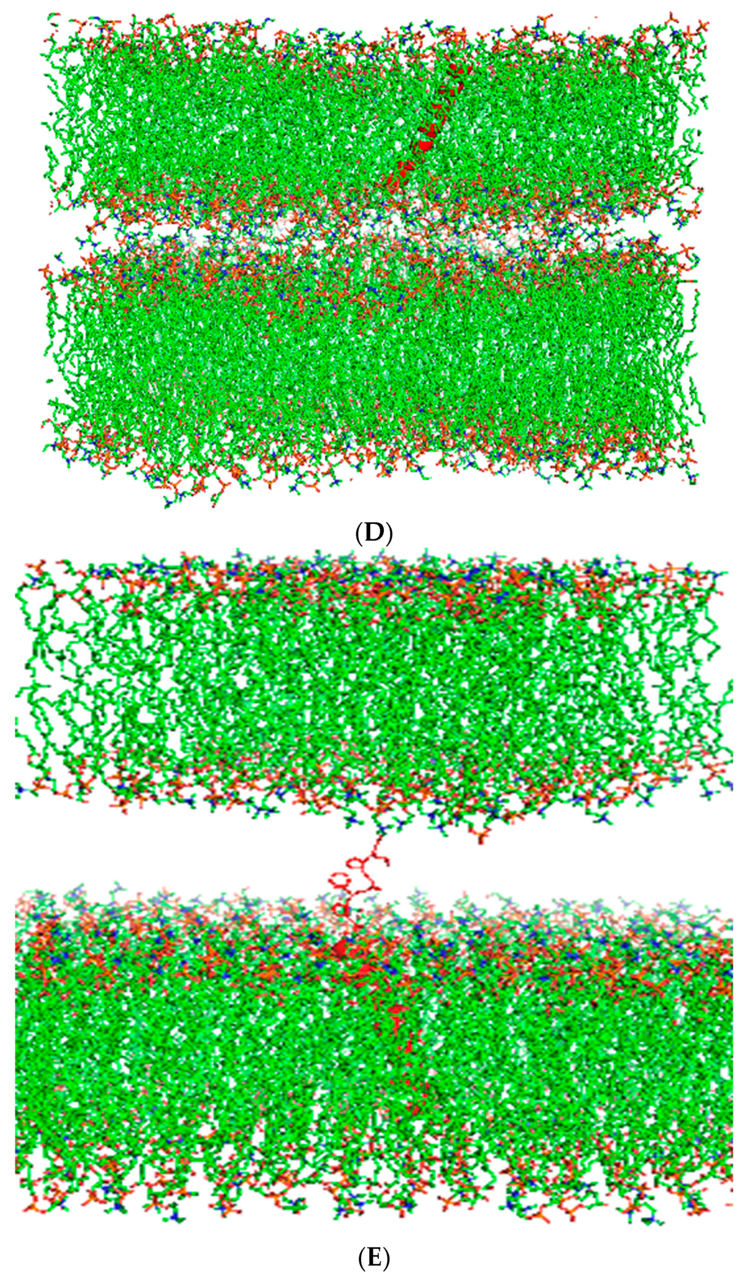 Biomedicines 12 00163 g003b