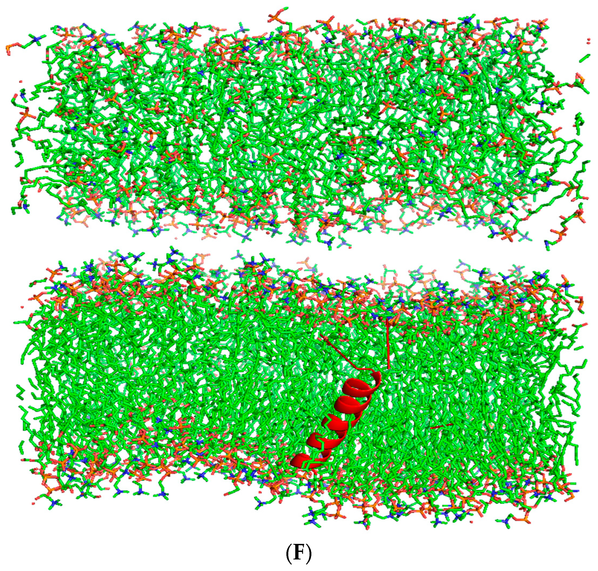 Biomedicines 12 00163 g003c