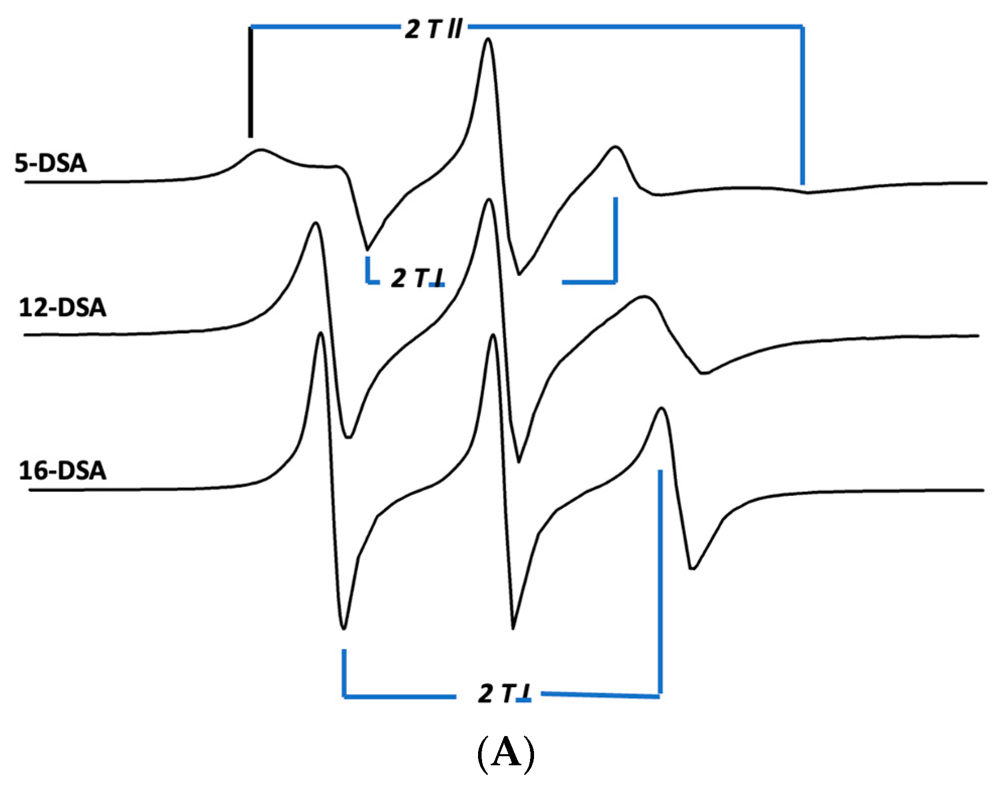 Biomedicines 12 00163 g007a