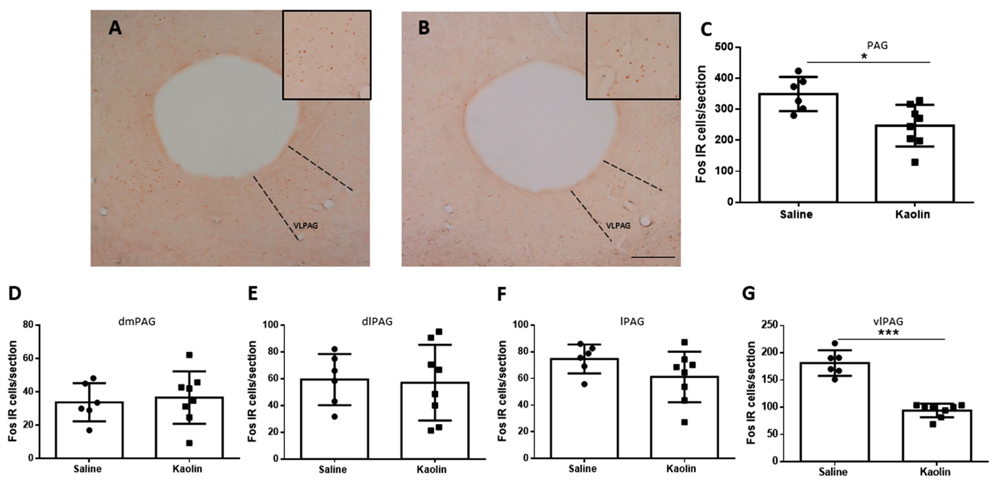 Biomedicines 12 00215 g003