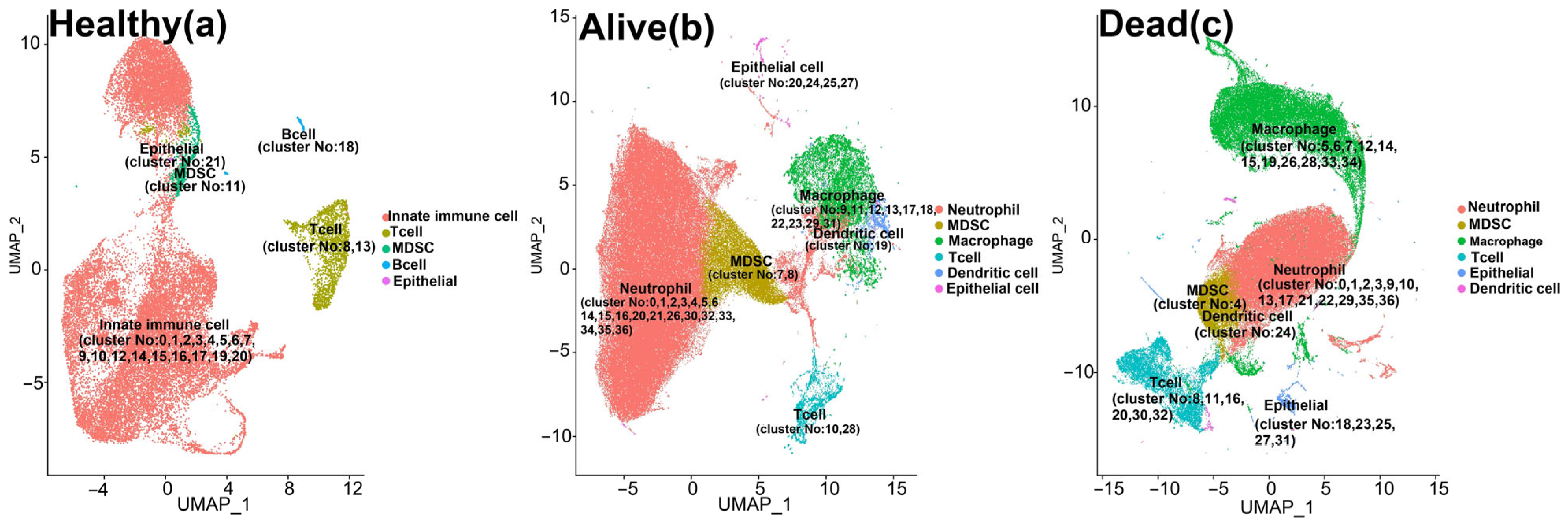 Biomedicines 12 00315 g002