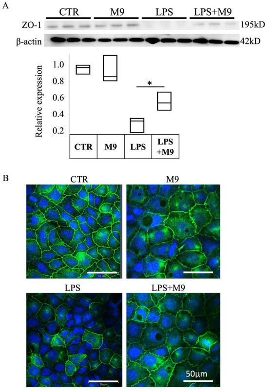 Biomedicines Free Full Text Long Term Tracking Of The Effects Of