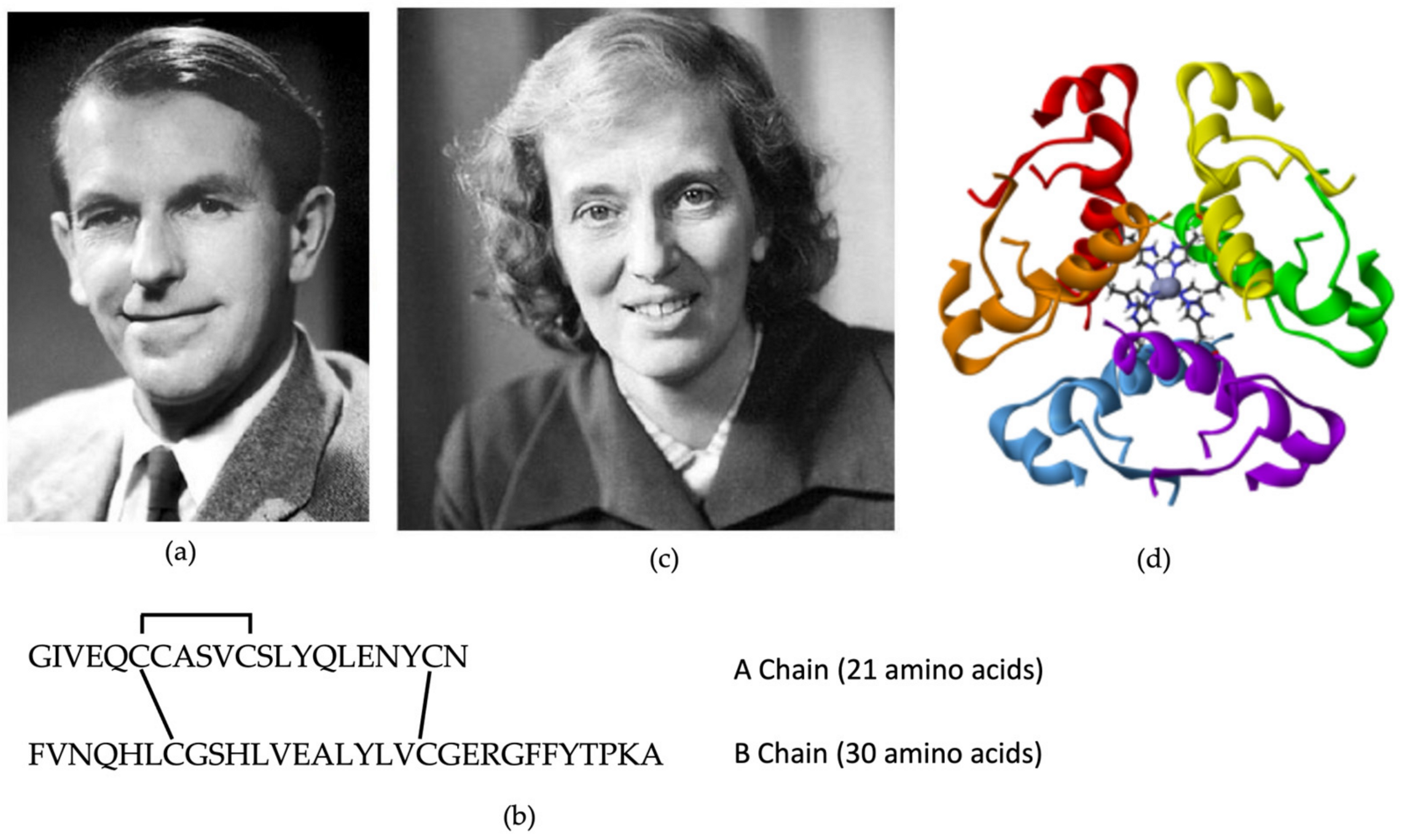 Biomedicines 12 00533 g005