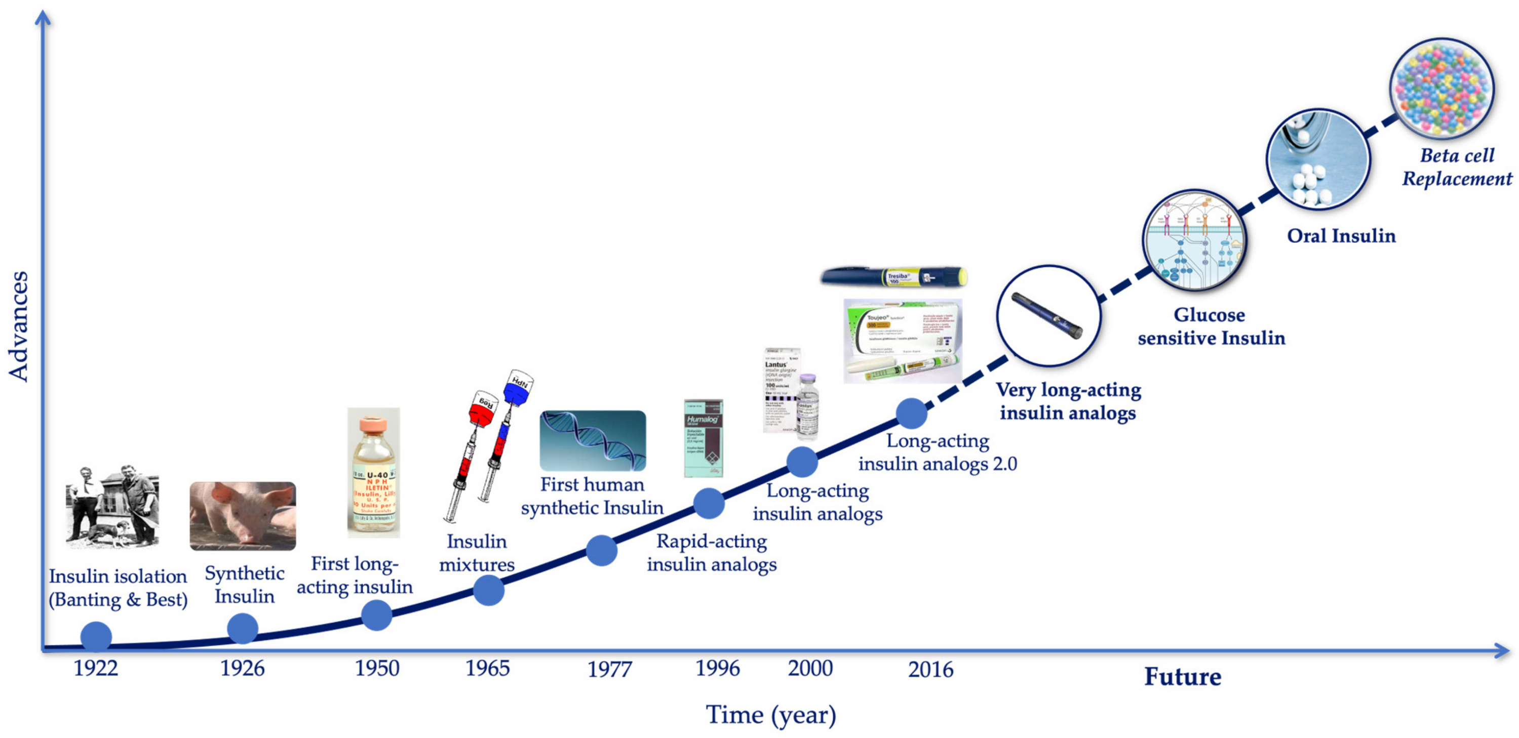 Biomedicines 12 00533 g006