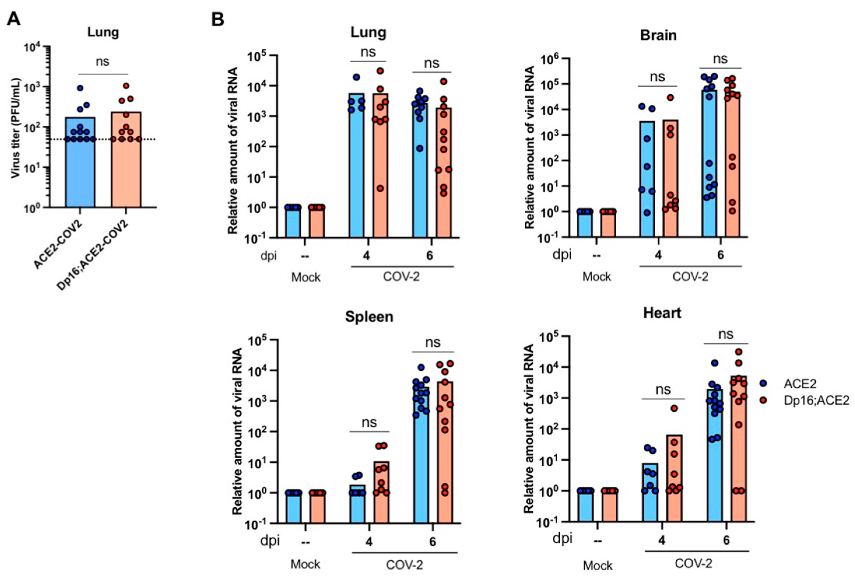 Biomedicines 12 00543 g002