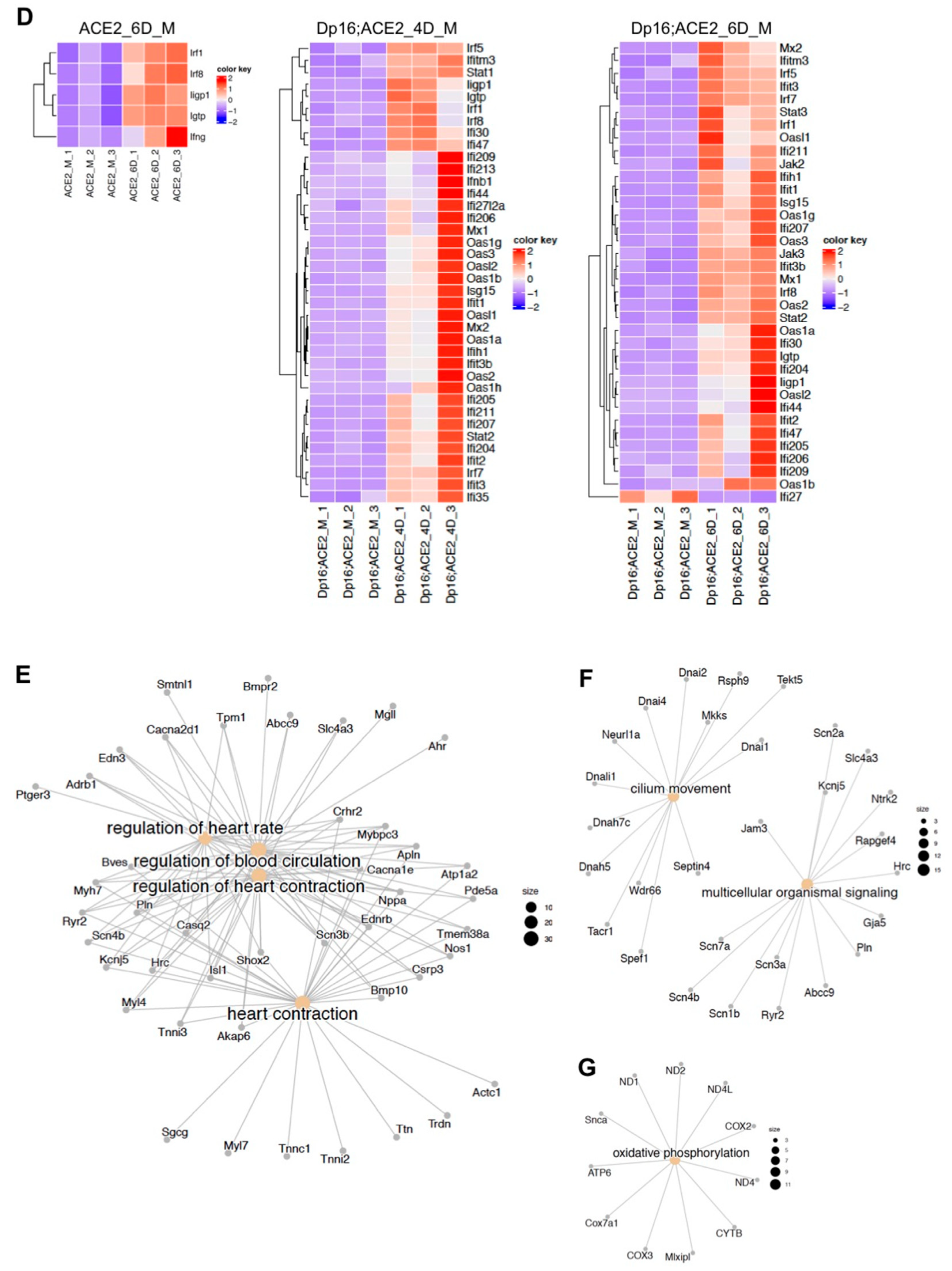 Biomedicines 12 00543 g005b