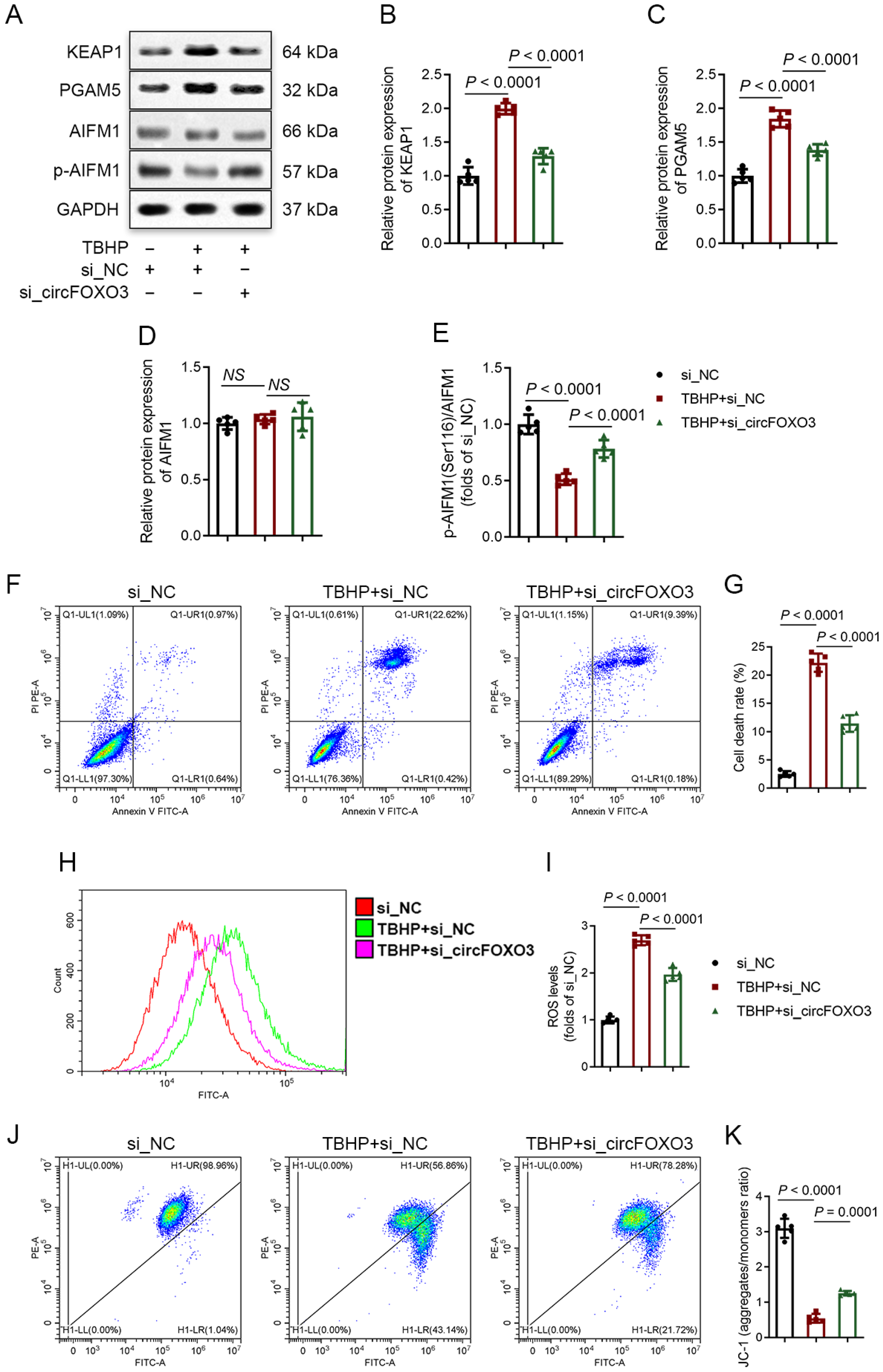 Biomedicines 12 00678 g002