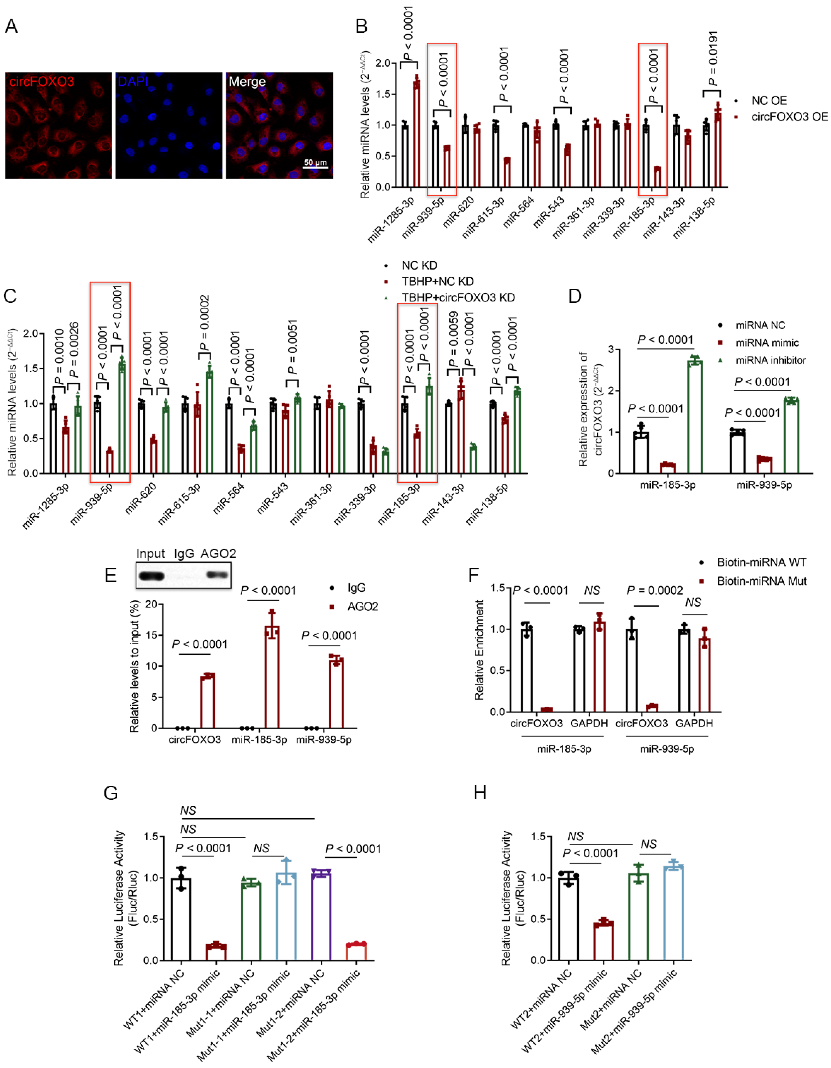 Biomedicines 12 00678 g003
