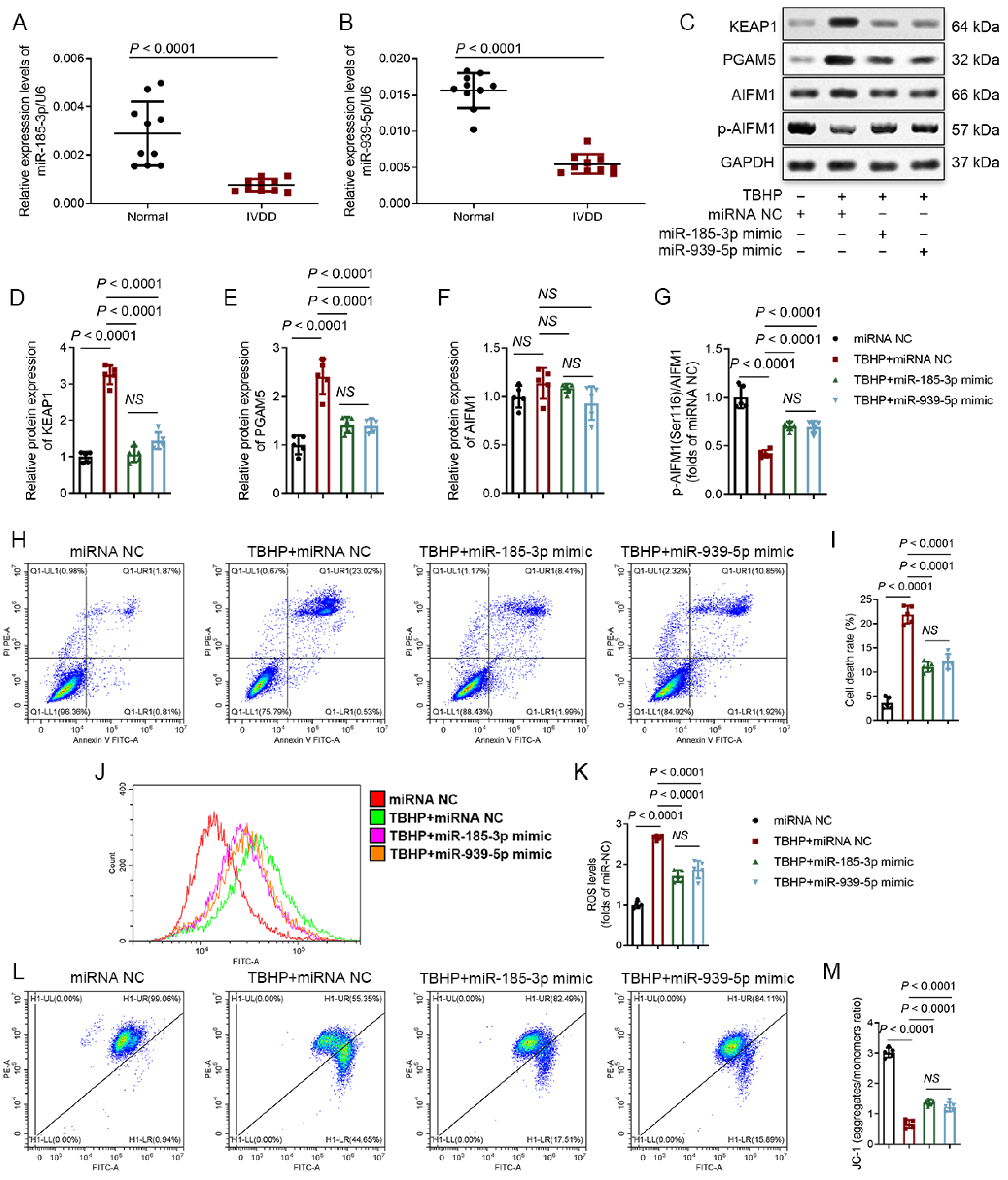 Biomedicines 12 00678 g004