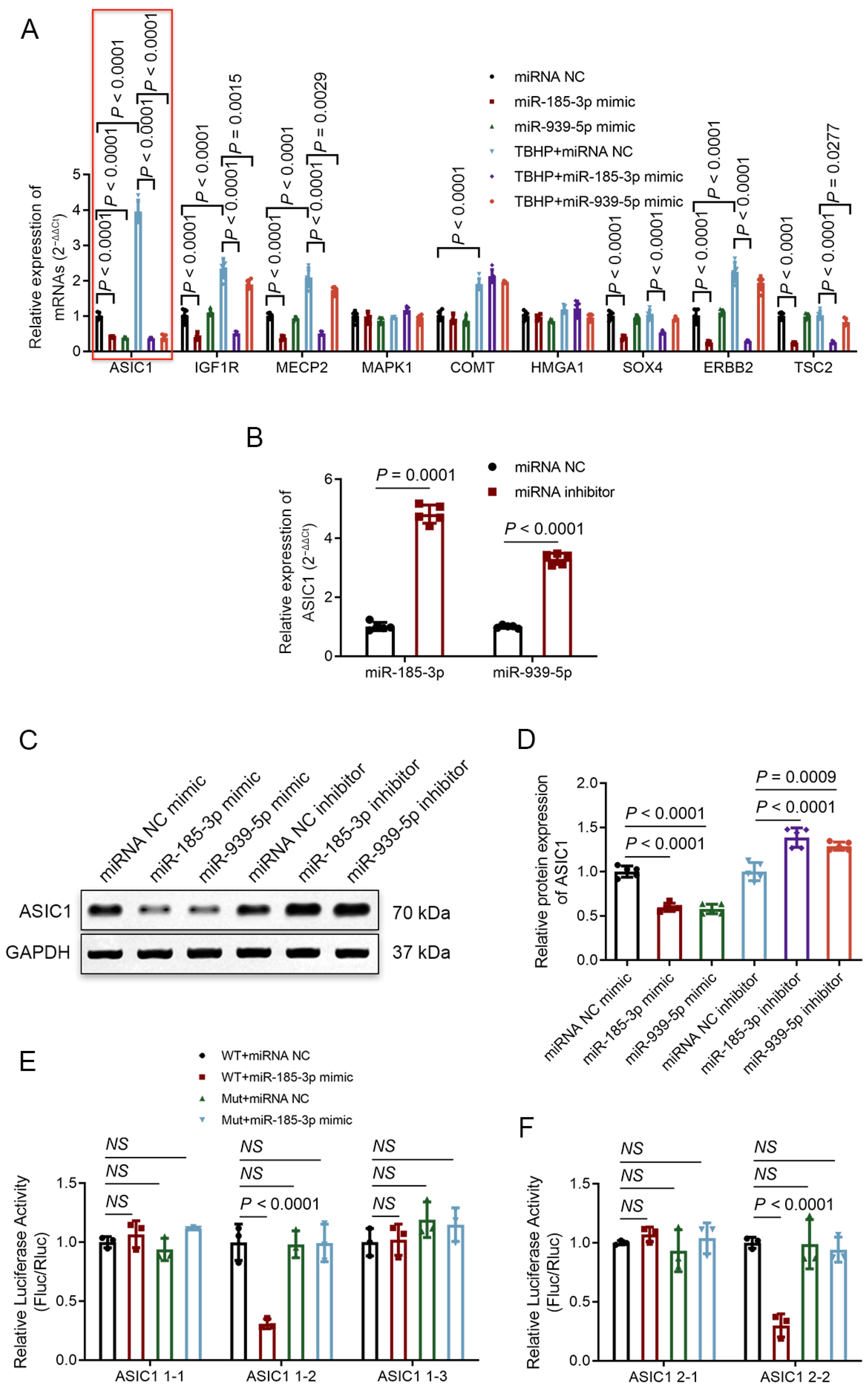 Biomedicines 12 00678 g005
