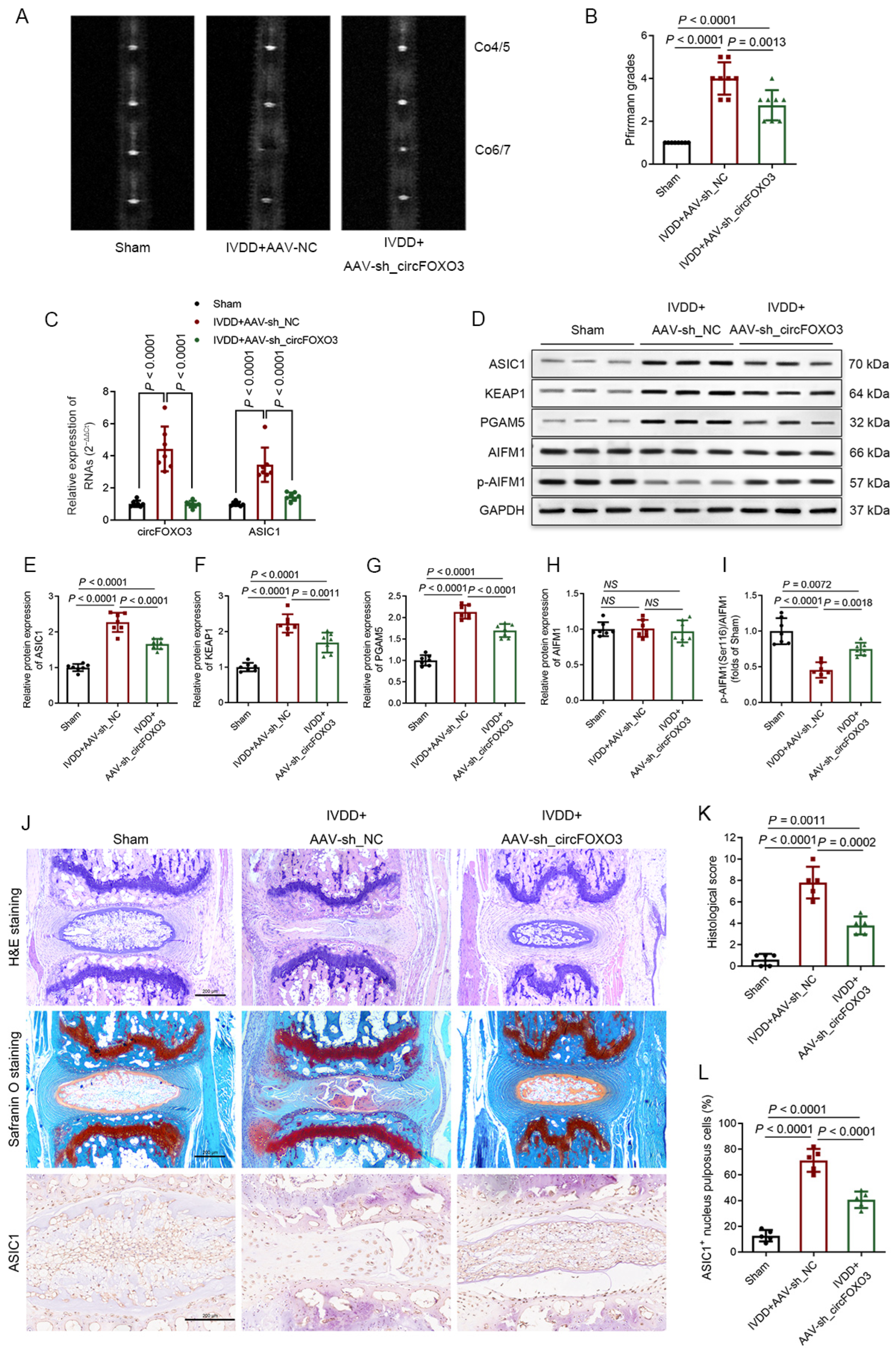 Biomedicines 12 00678 g008