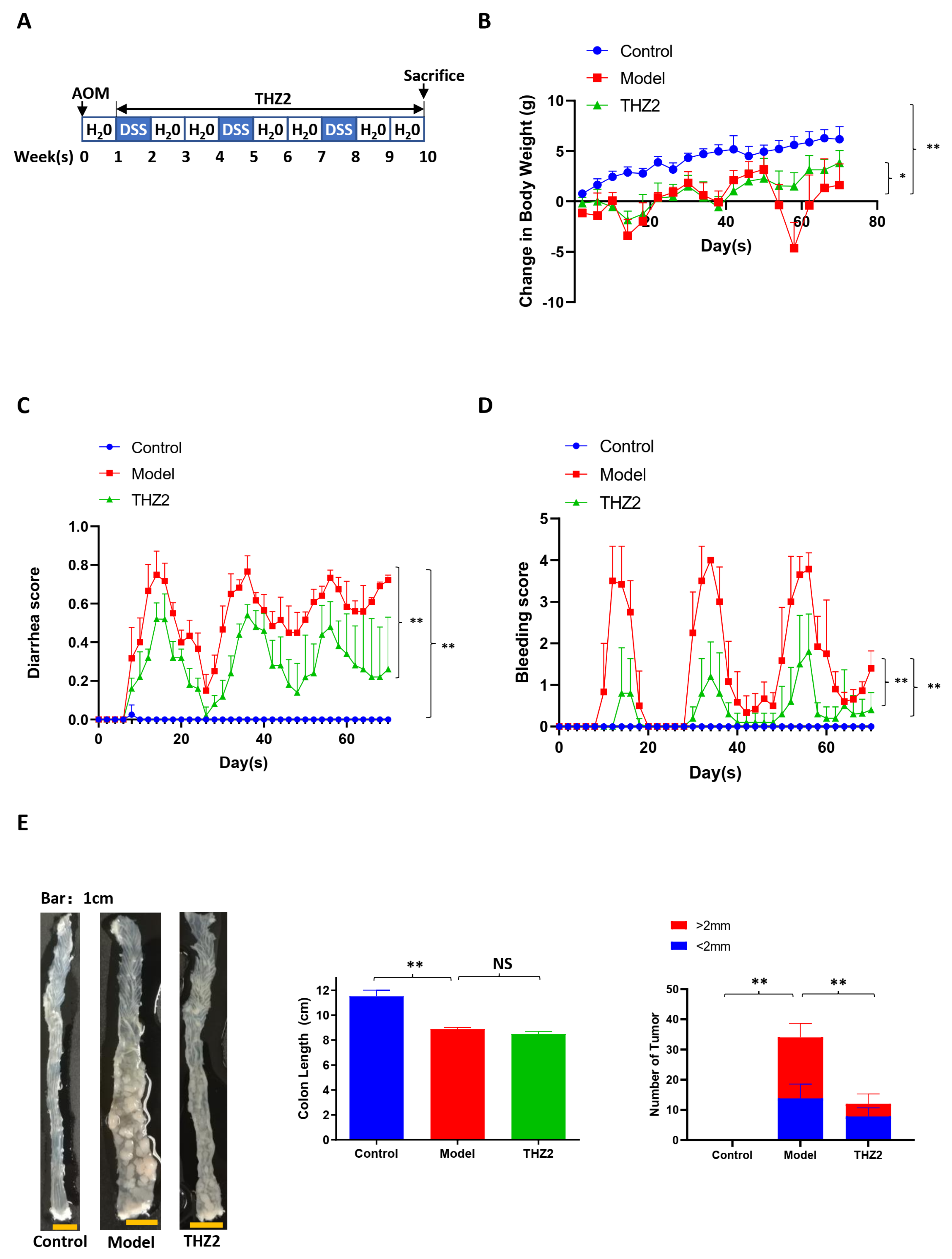 Biomedicines 12 00679 g003