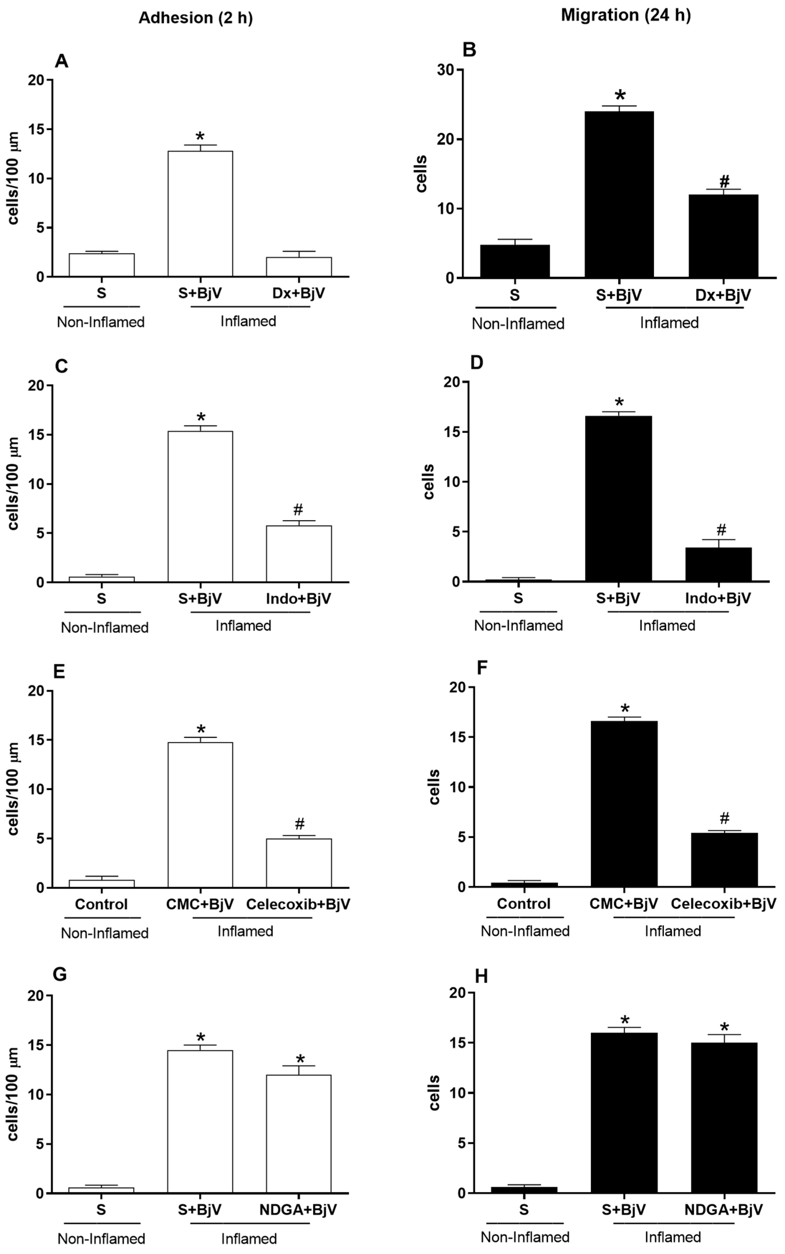 Biomedicines 12 00734 g001