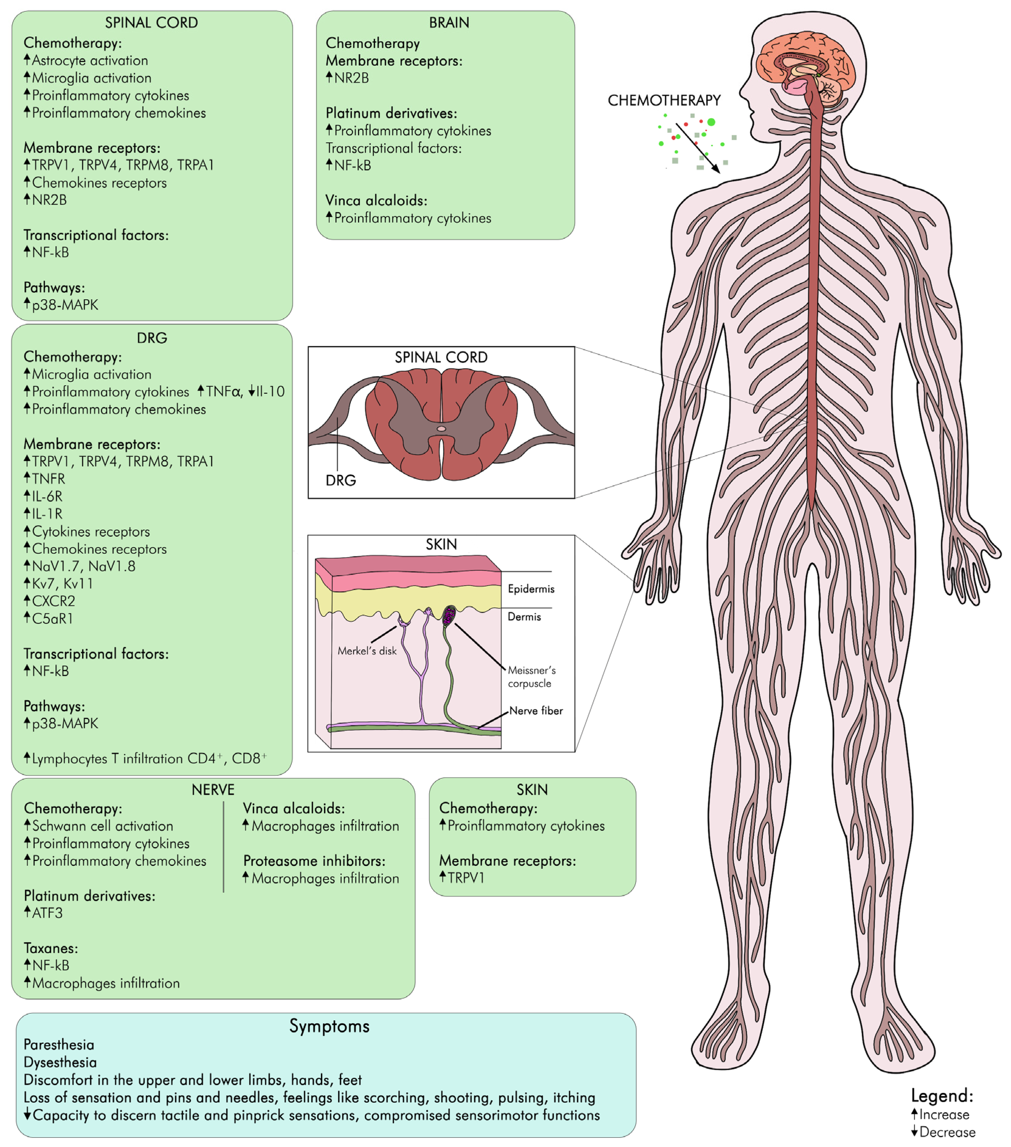 Biomedicines 12 00751 g002