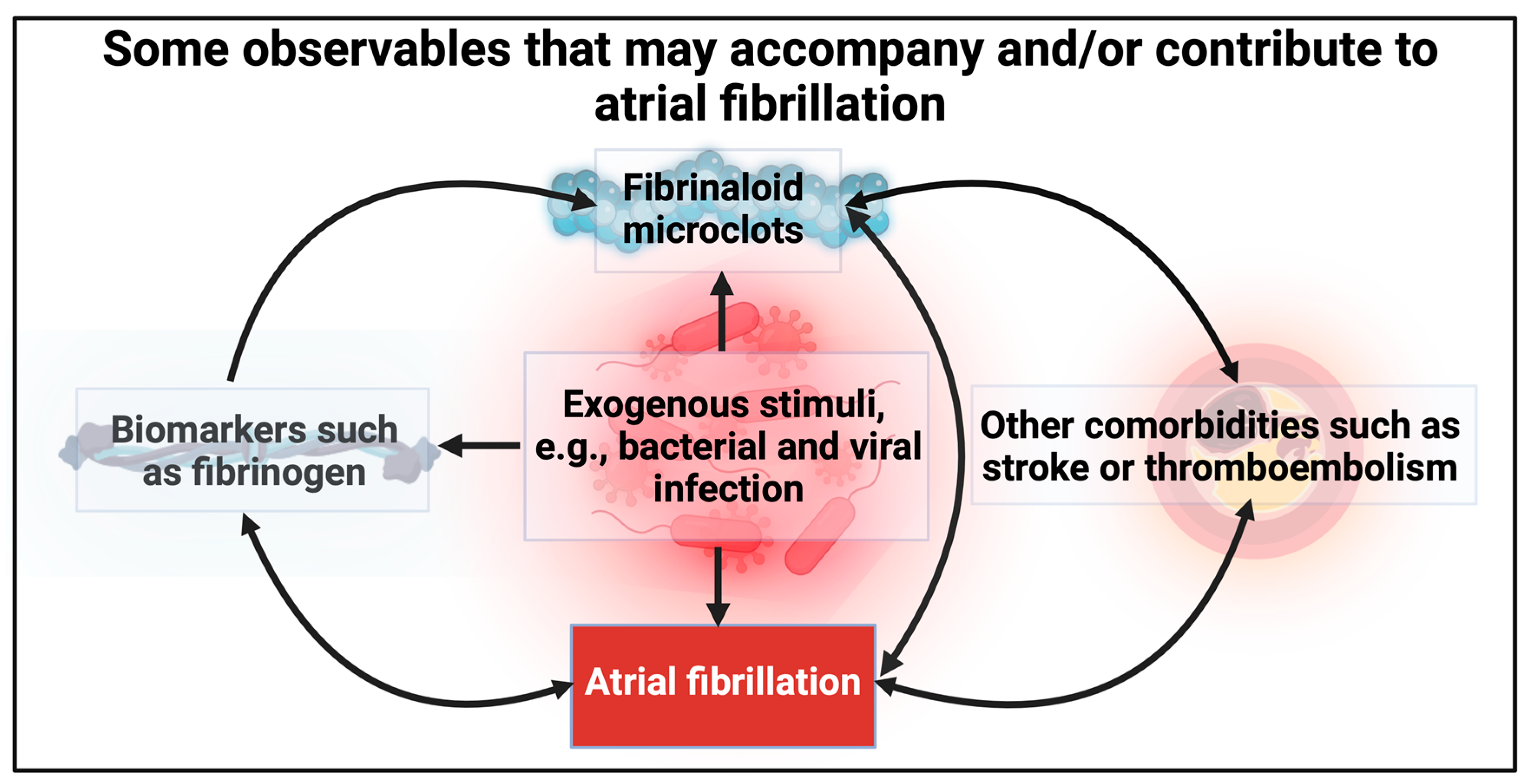 Biomedicines 12 00891 g007