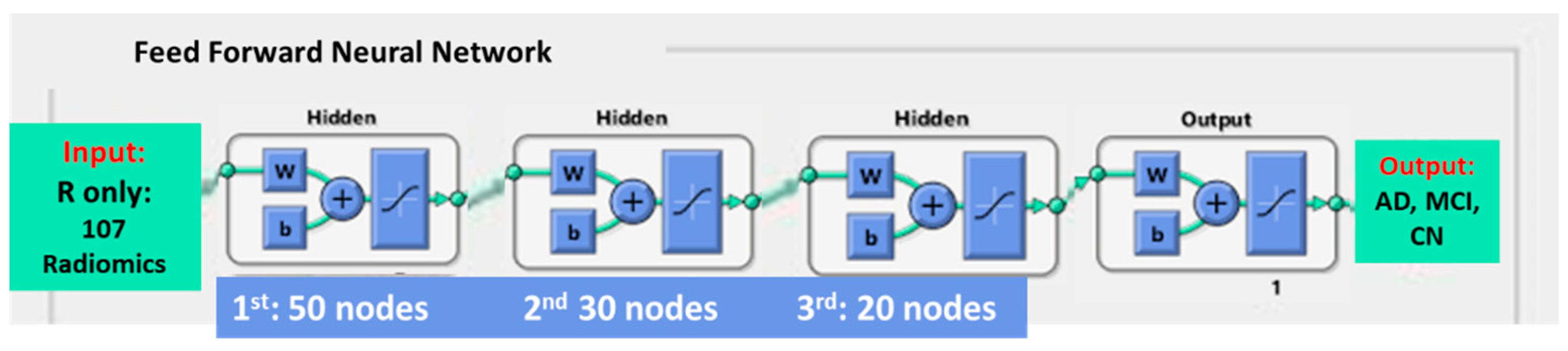 Biomedicines 12 00896 g003