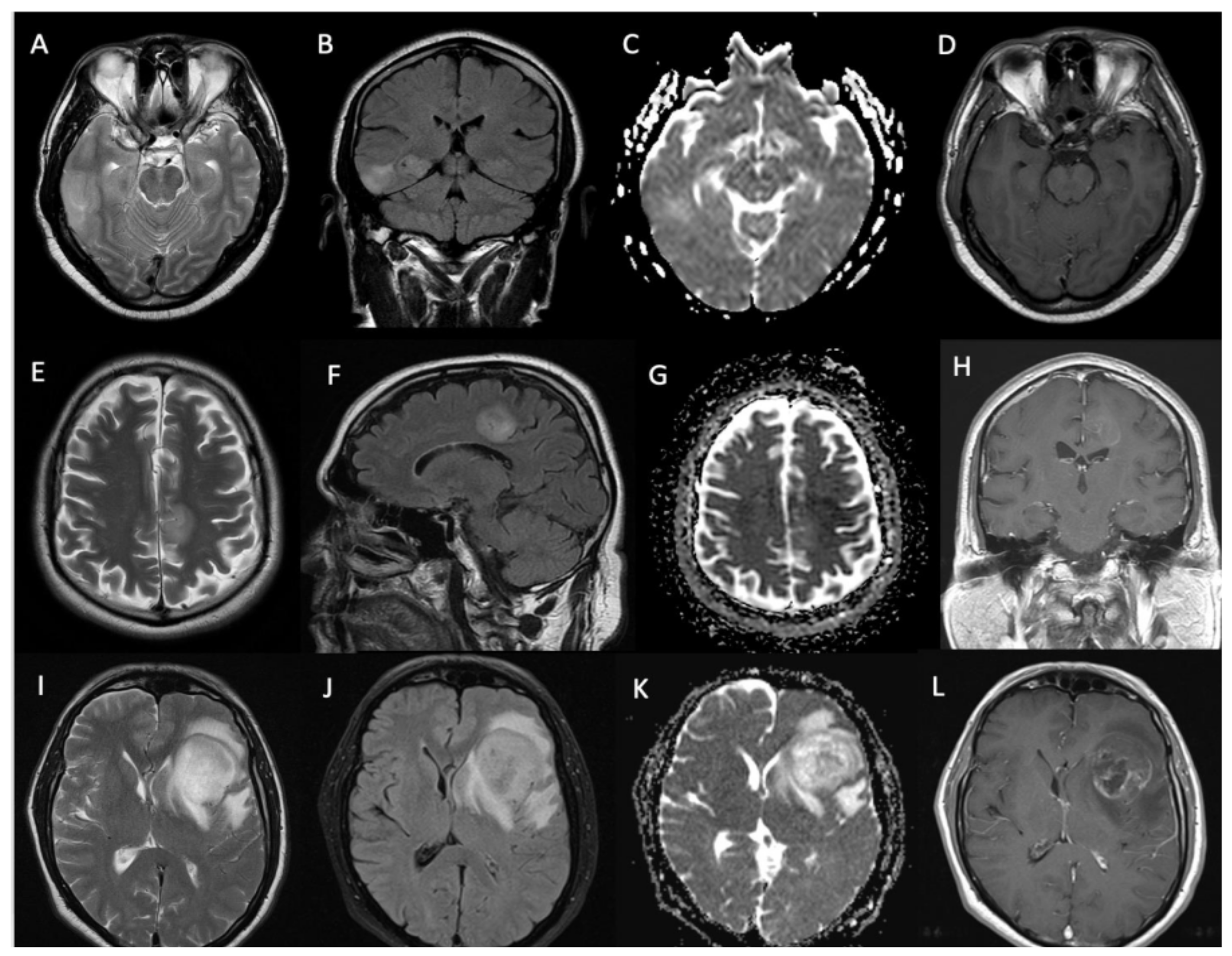 Biomedicines 12 00901 g002