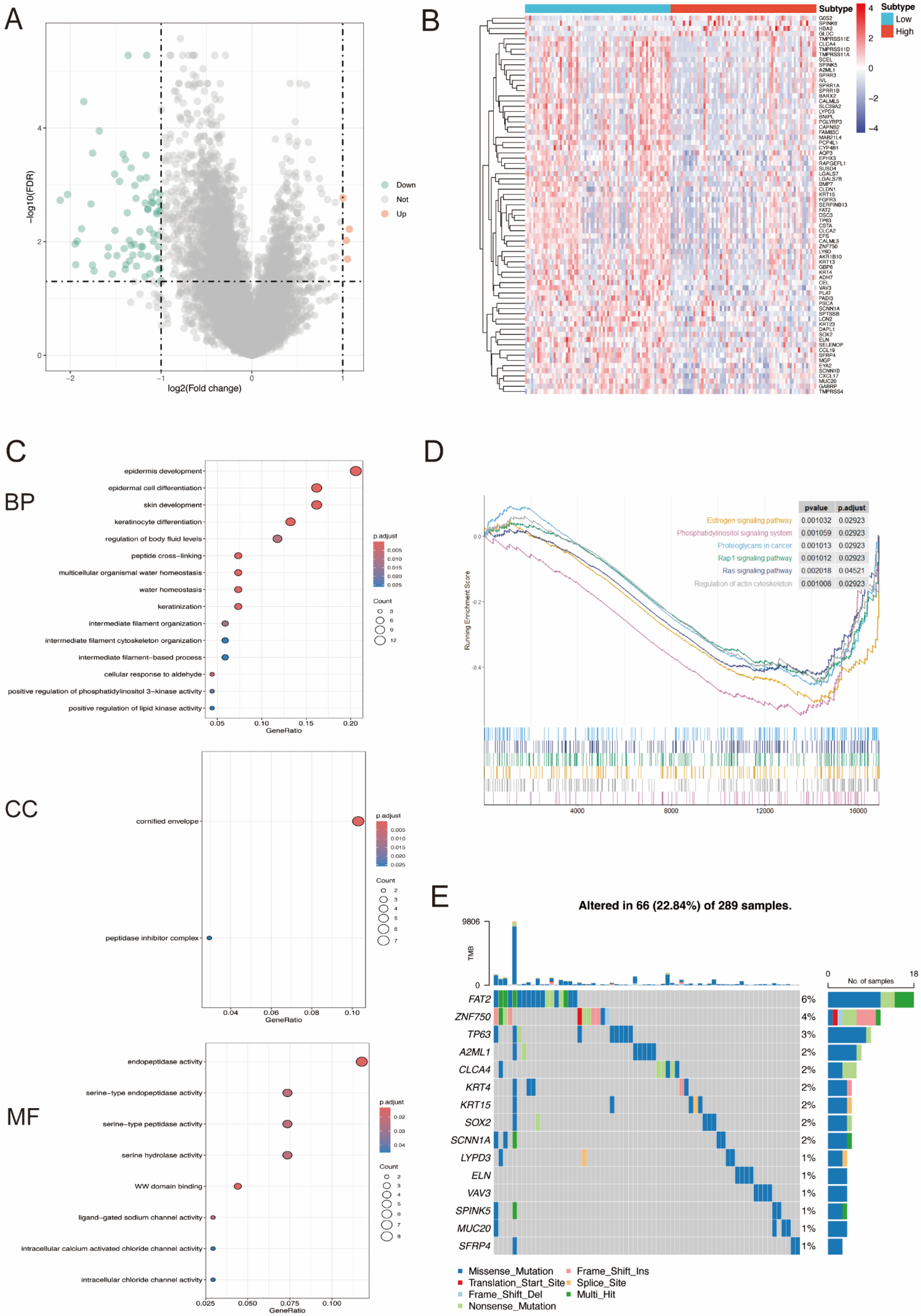 Biomedicines 12 00909 g003