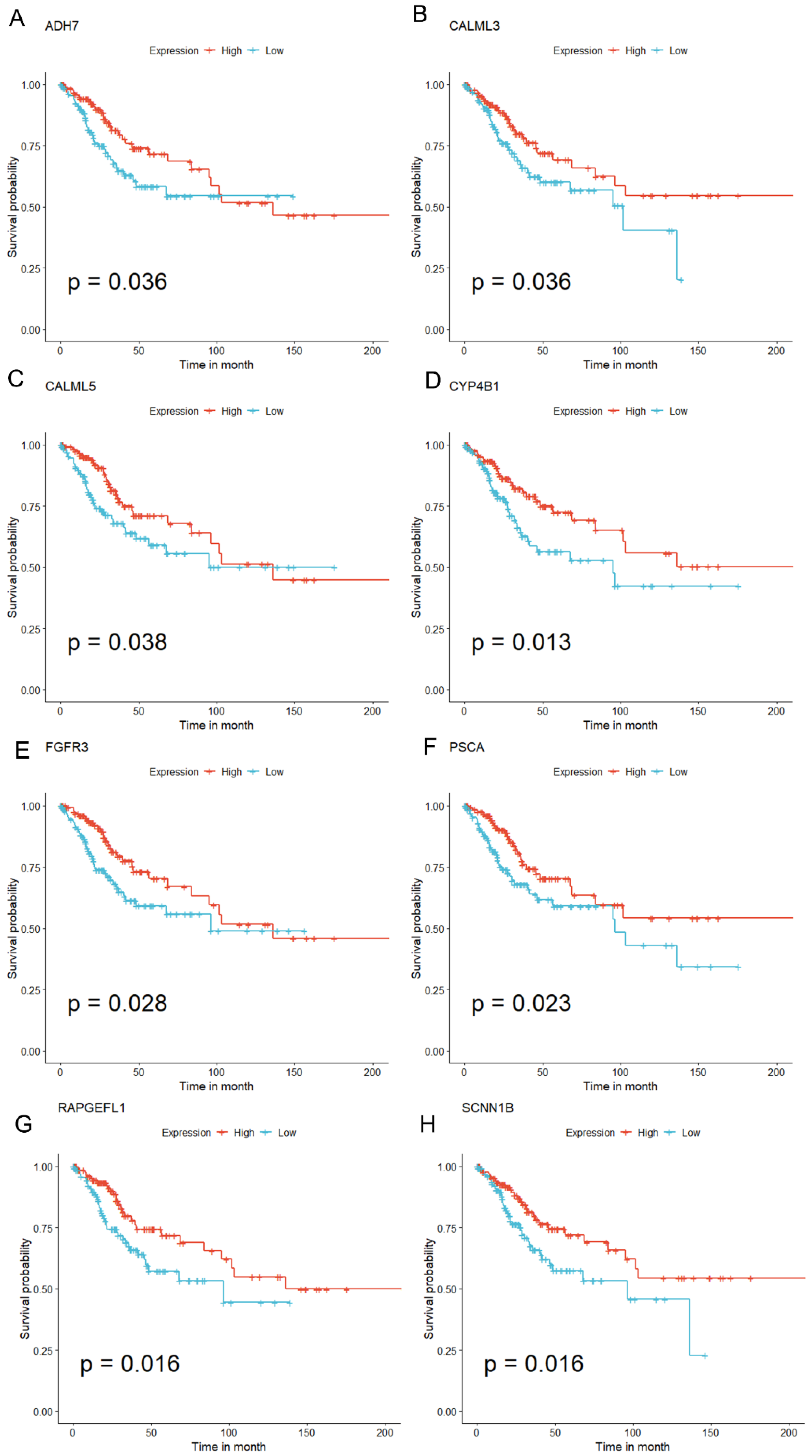 Biomedicines 12 00909 g006