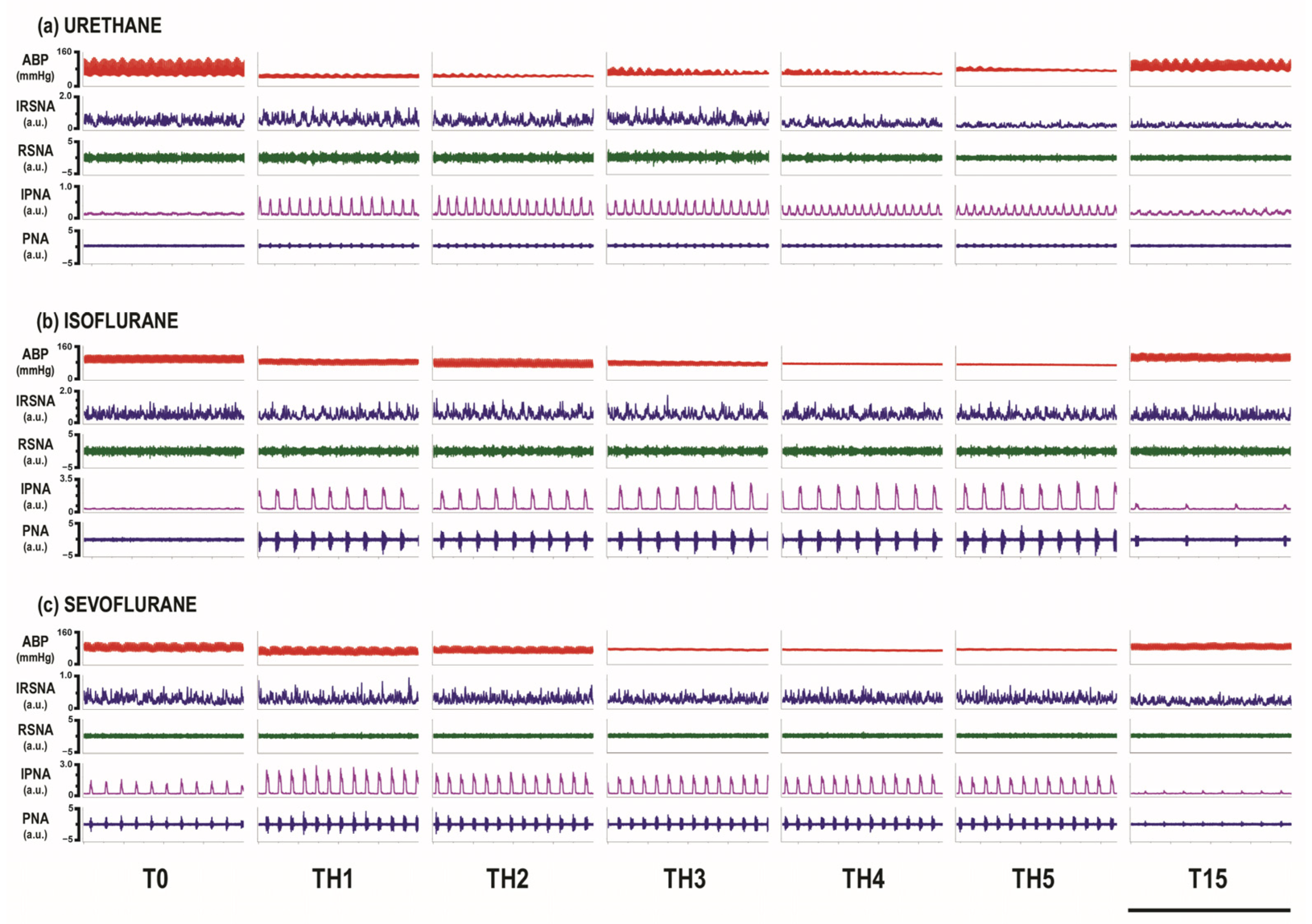 Biomedicines 12 00910 g002
