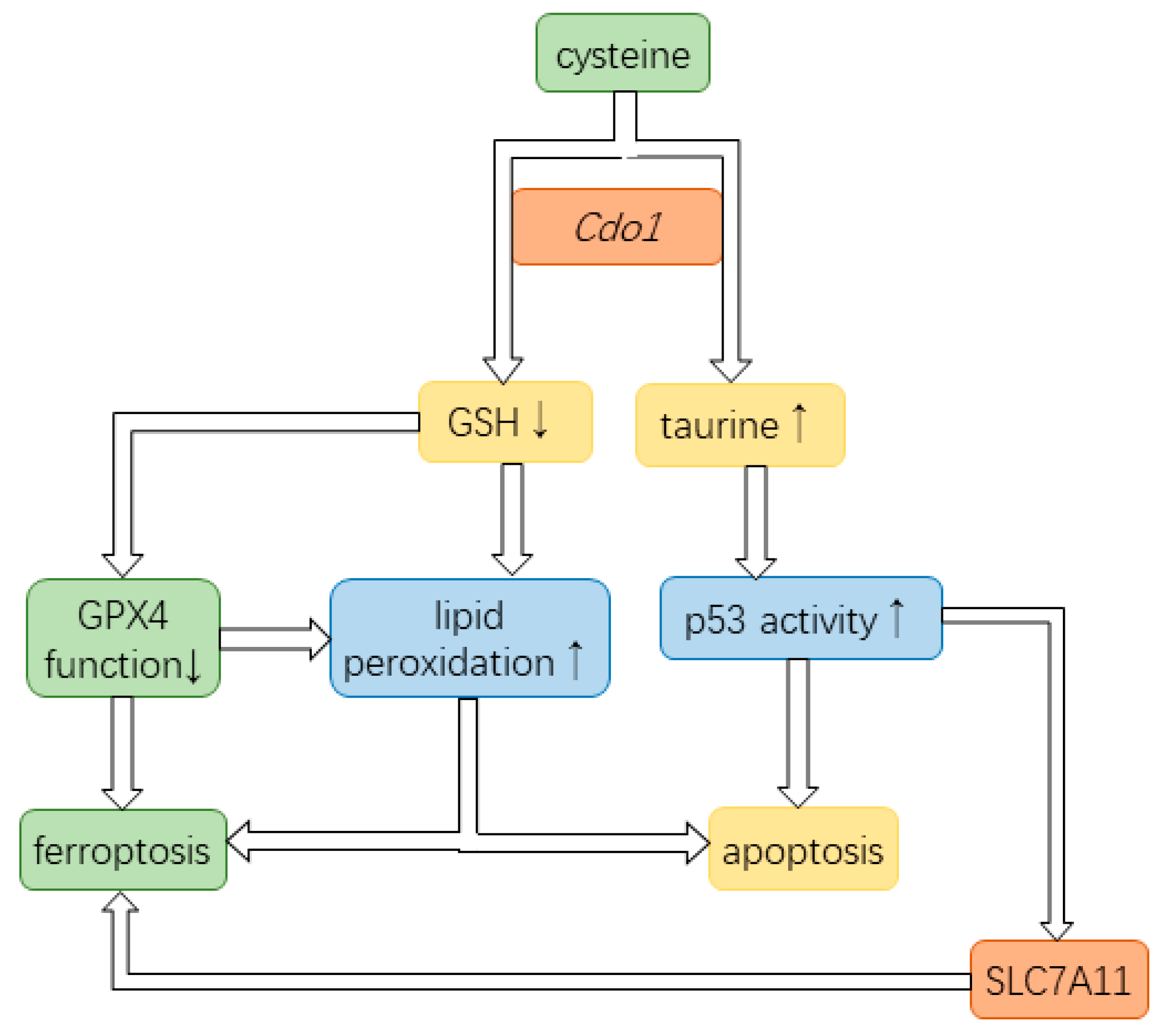 Biomedicines 12 00918 g006