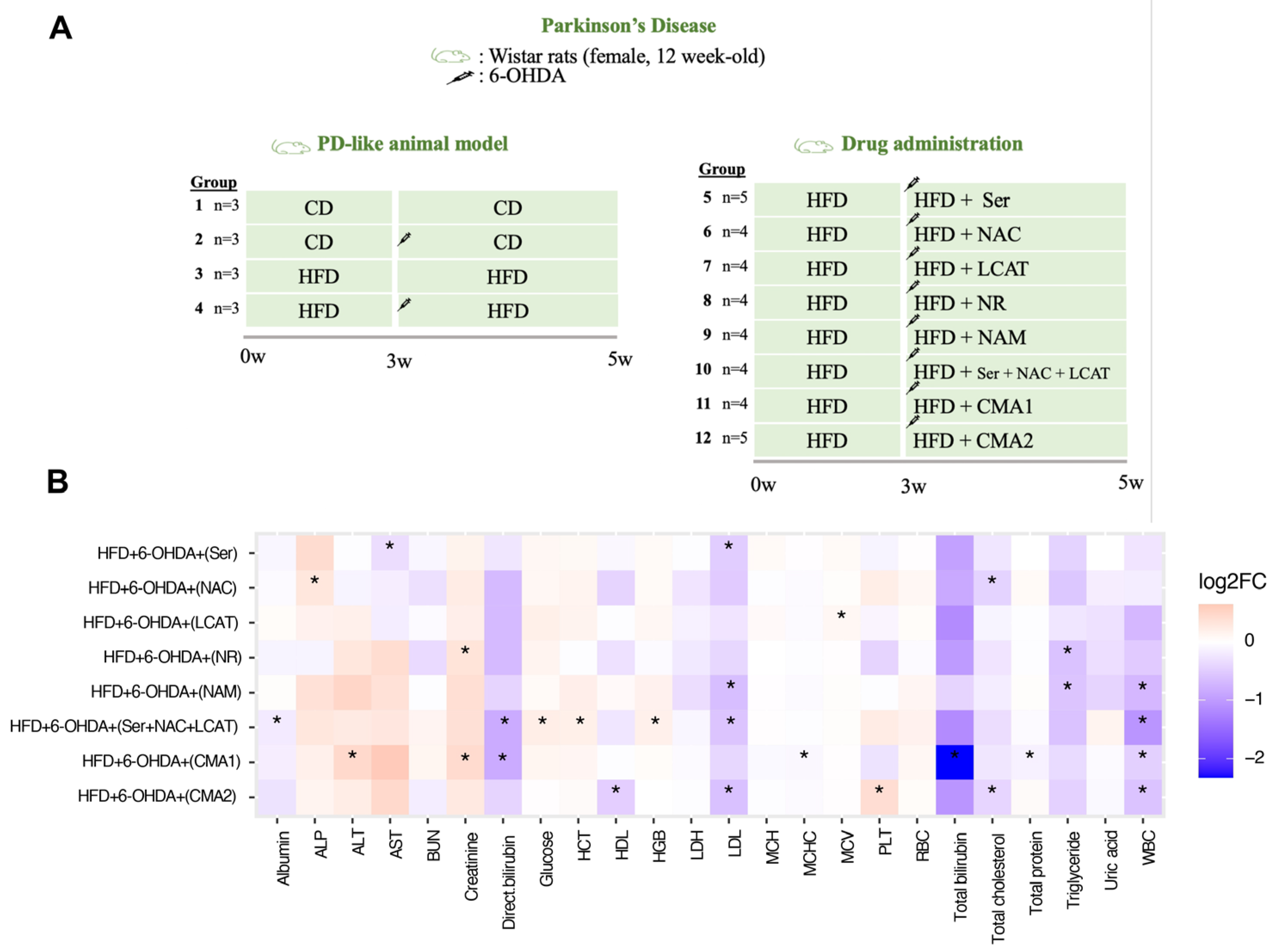 Biomedicines 12 00927 g003