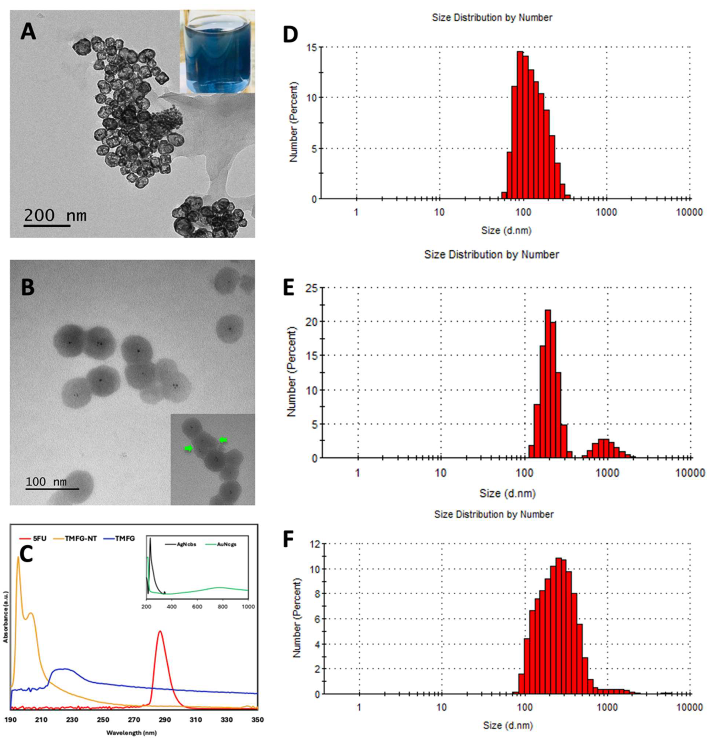 Biomedicines 12 00934 g002