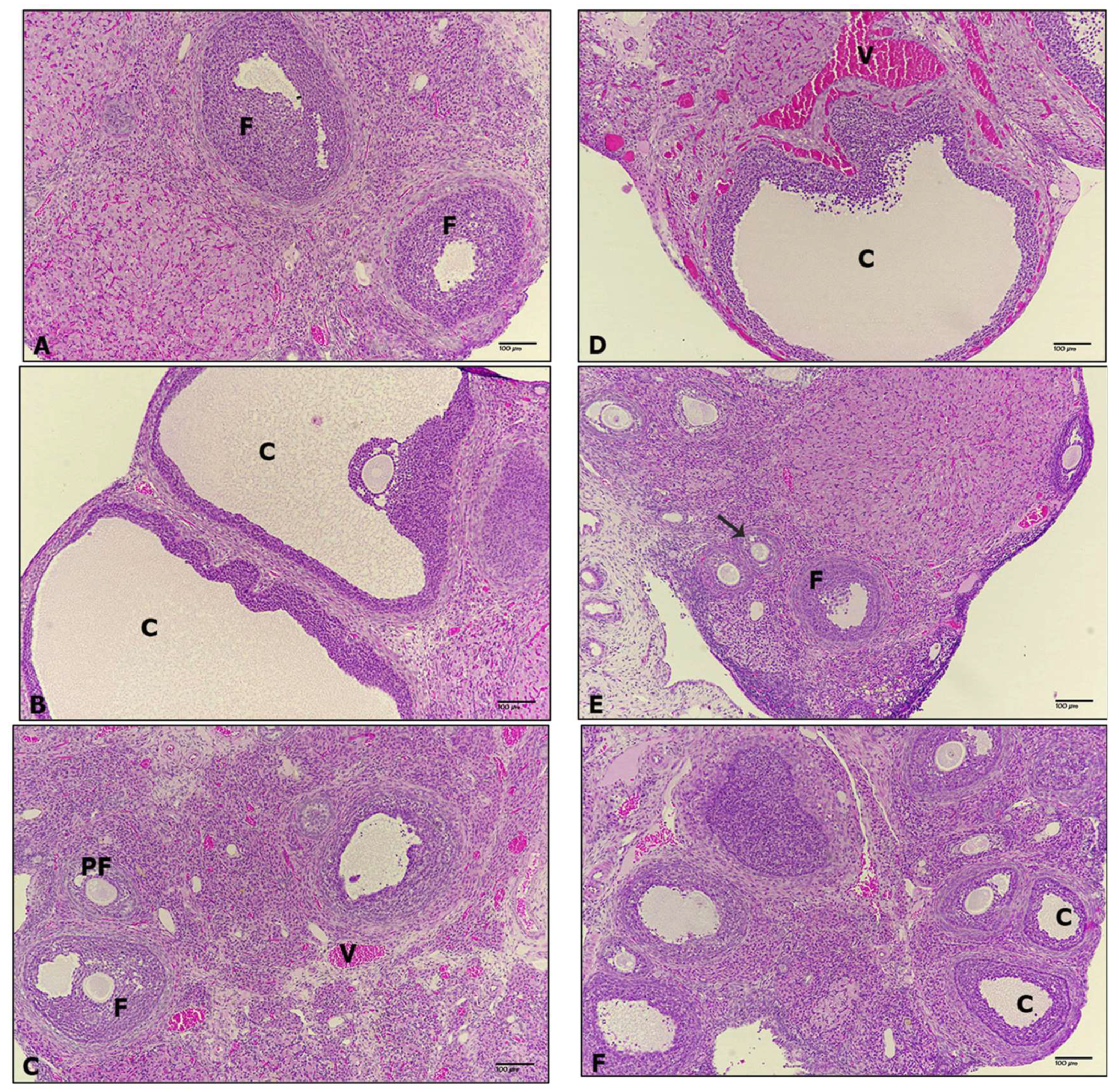 Biomedicines 12 00943 g010