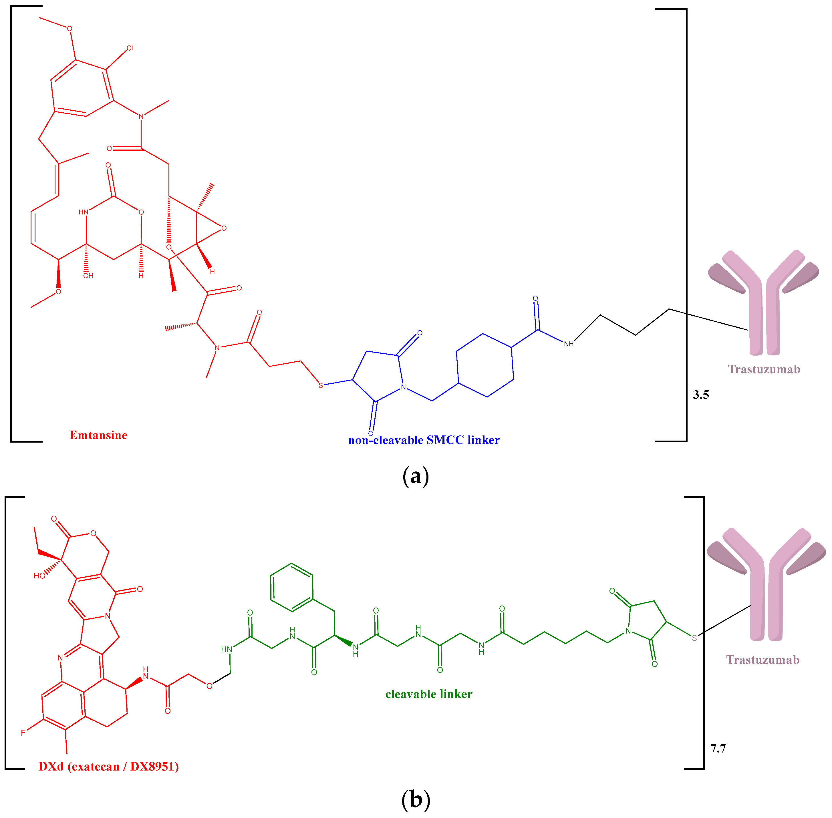 Biomedicines 12 00953 g001