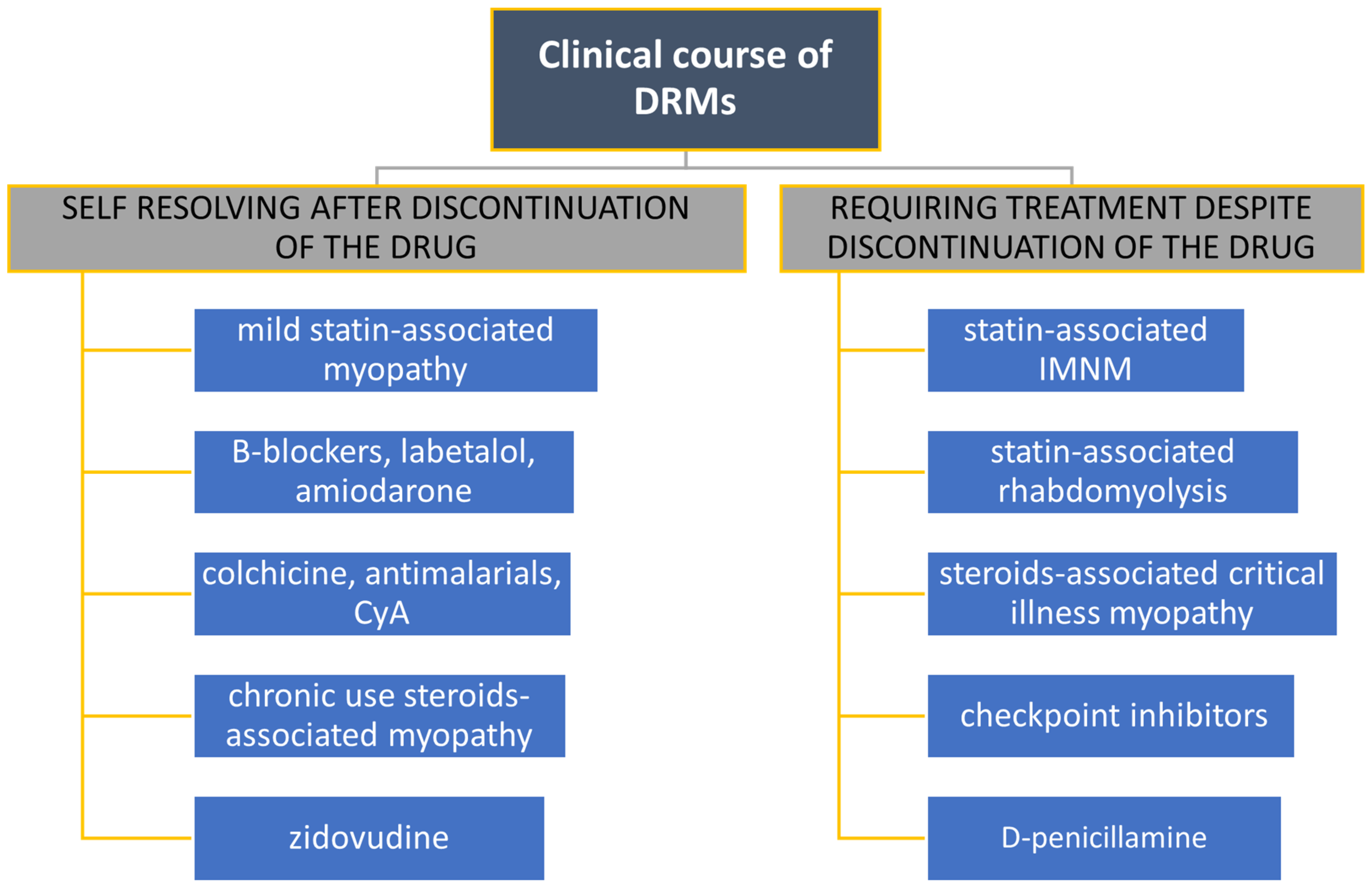 Biomedicines 12 00987 g004