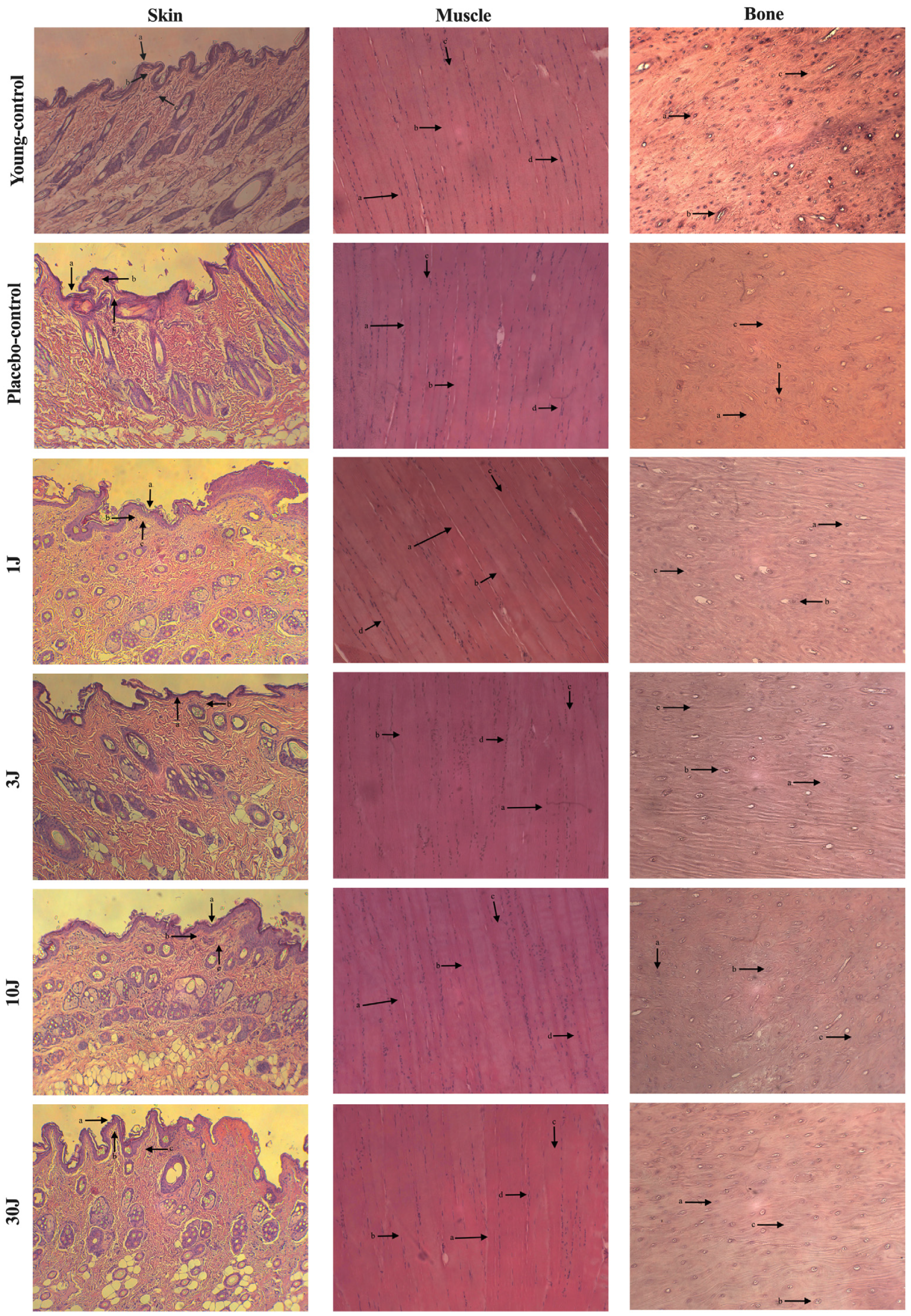 Biomedicines 12 00990 g002