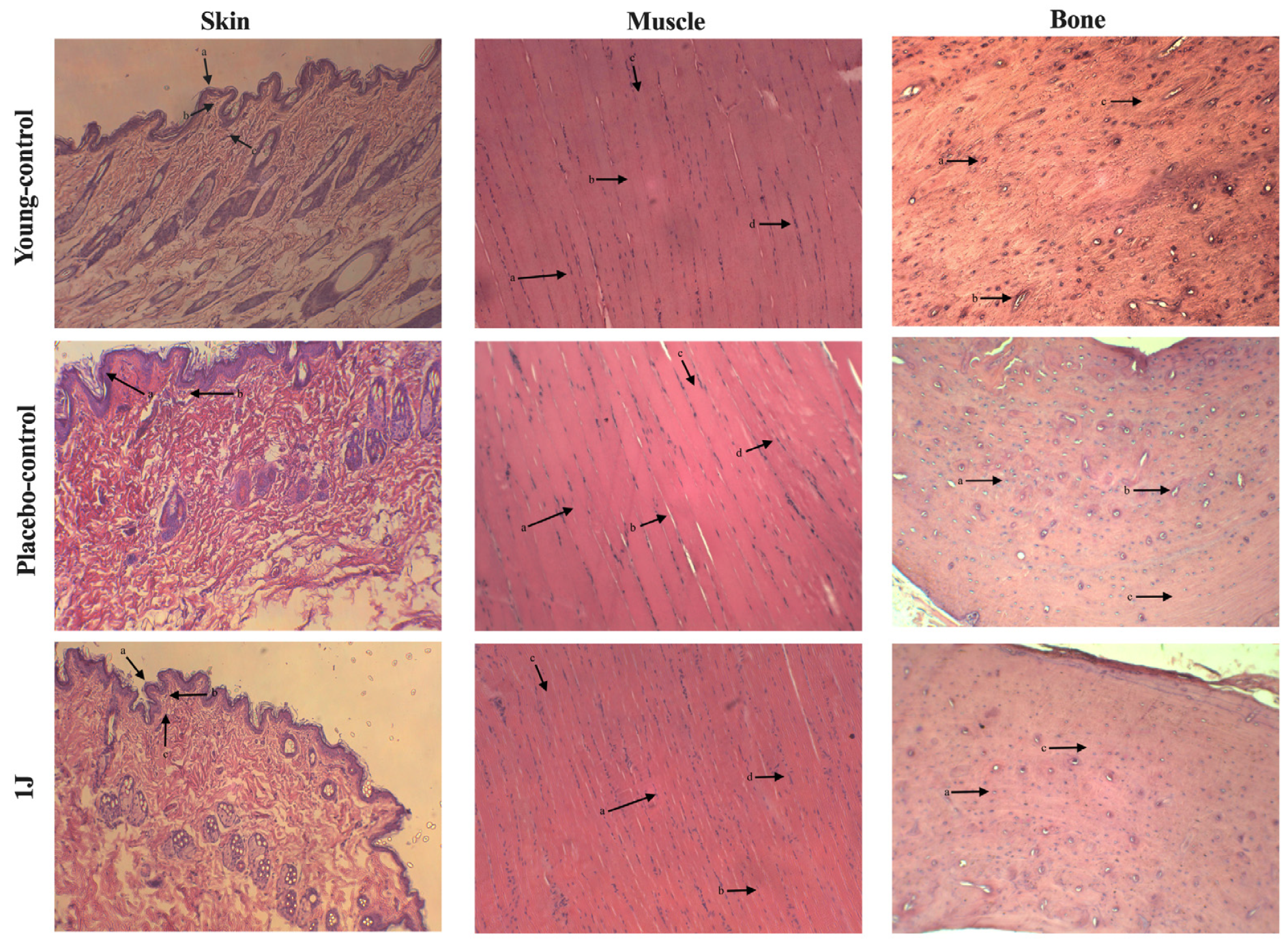 Biomedicines 12 00990 g003a