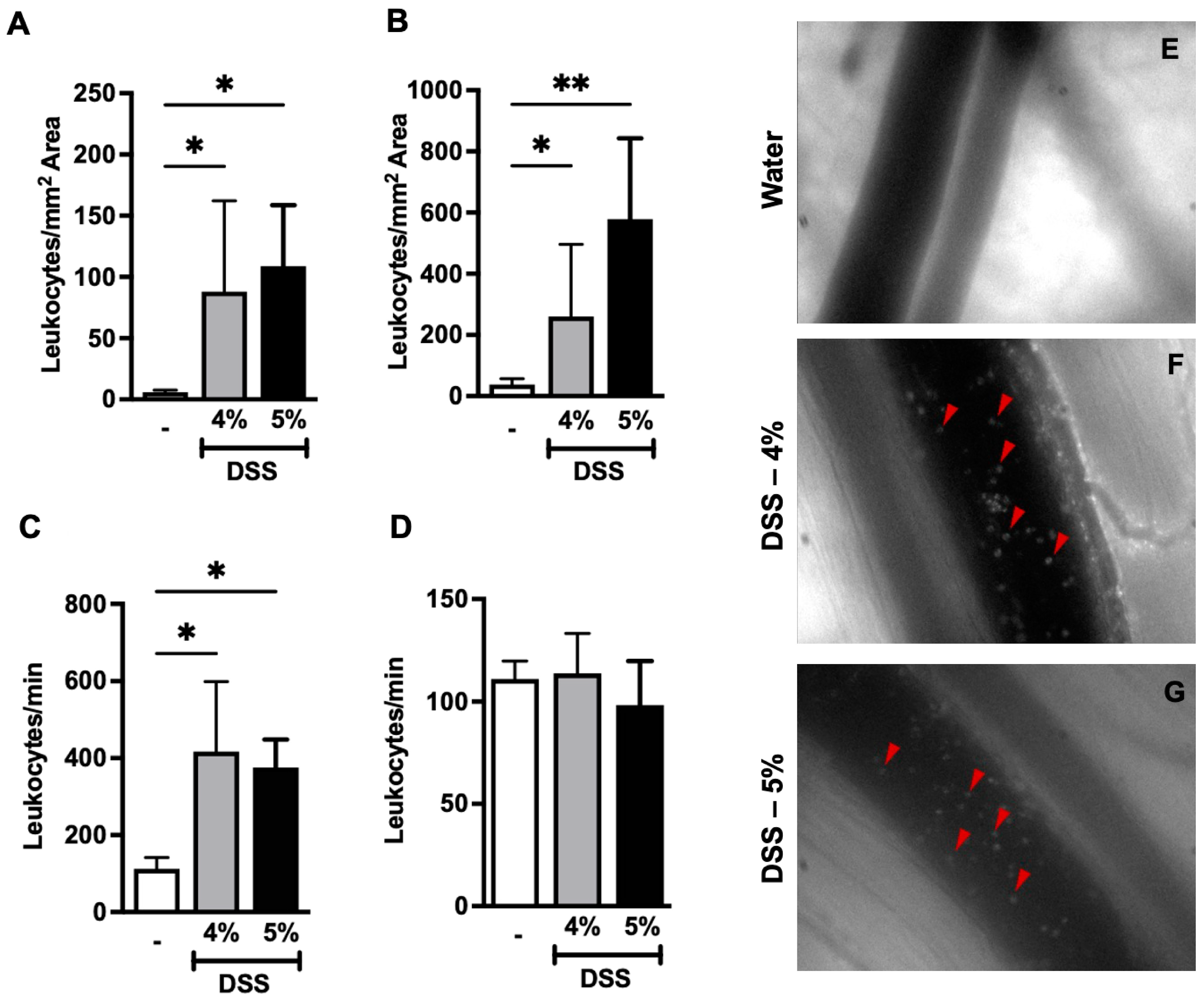 Biomedicines 12 01000 g004