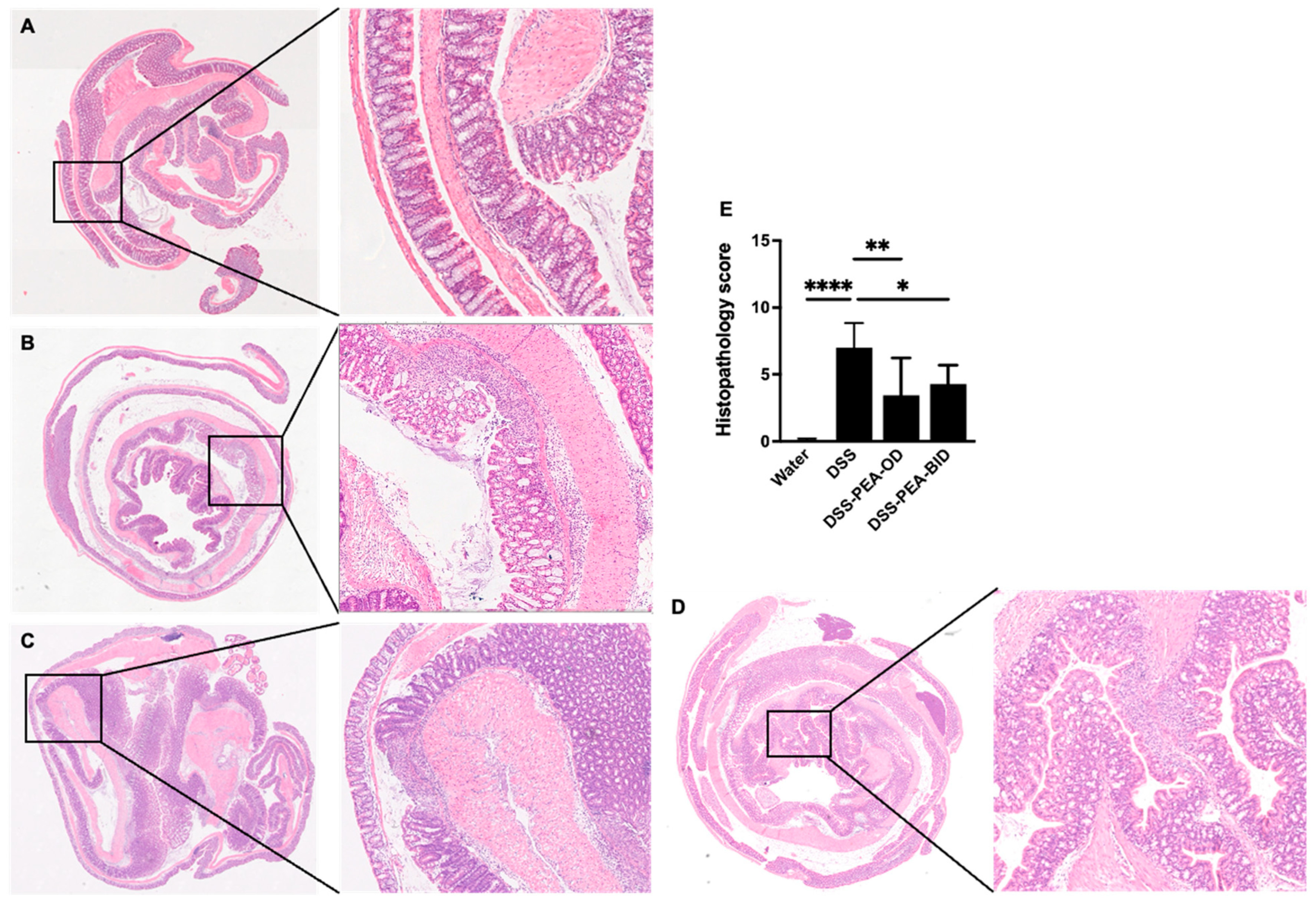Biomedicines 12 01000 g007