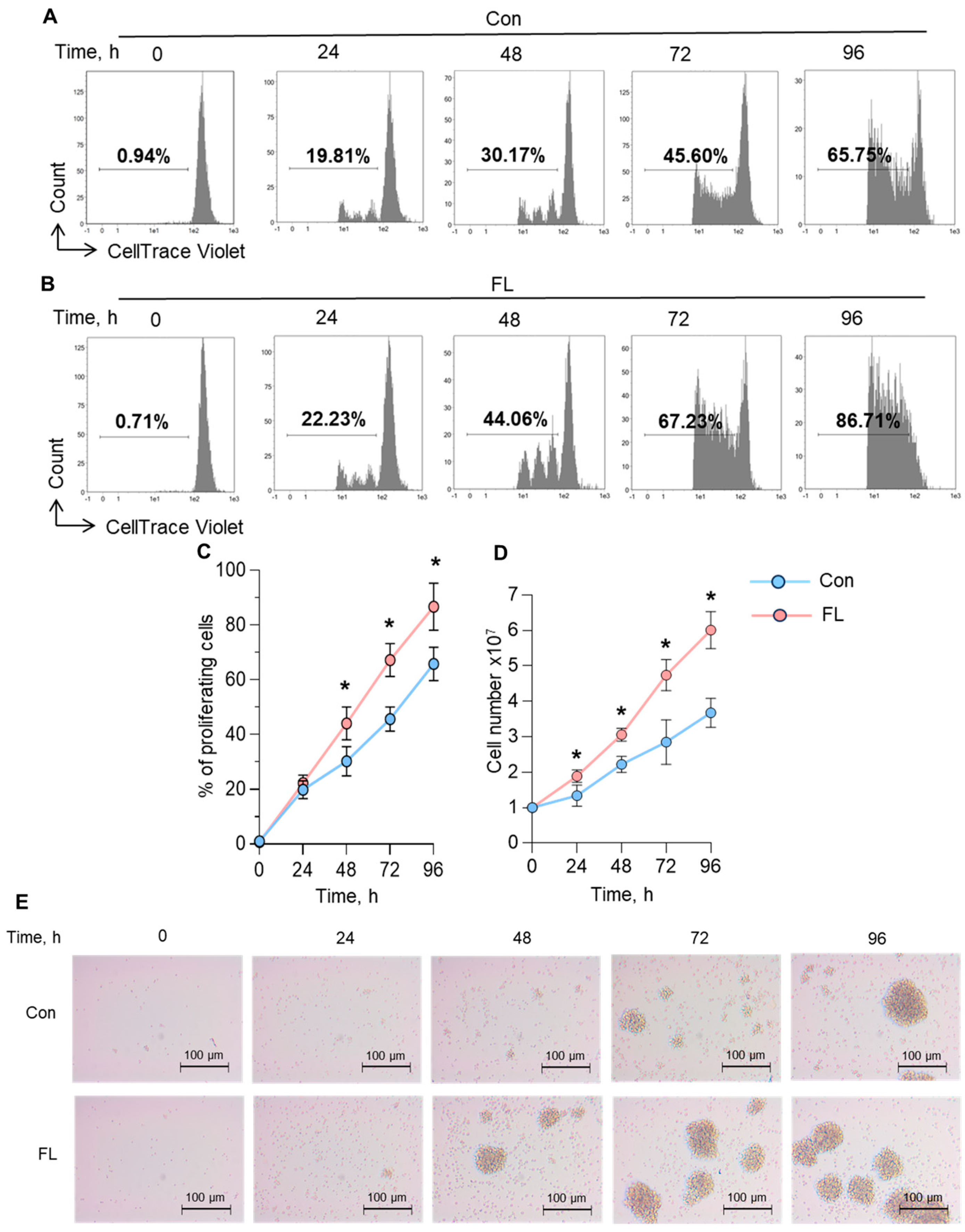Biomedicines 12 01022 g004
