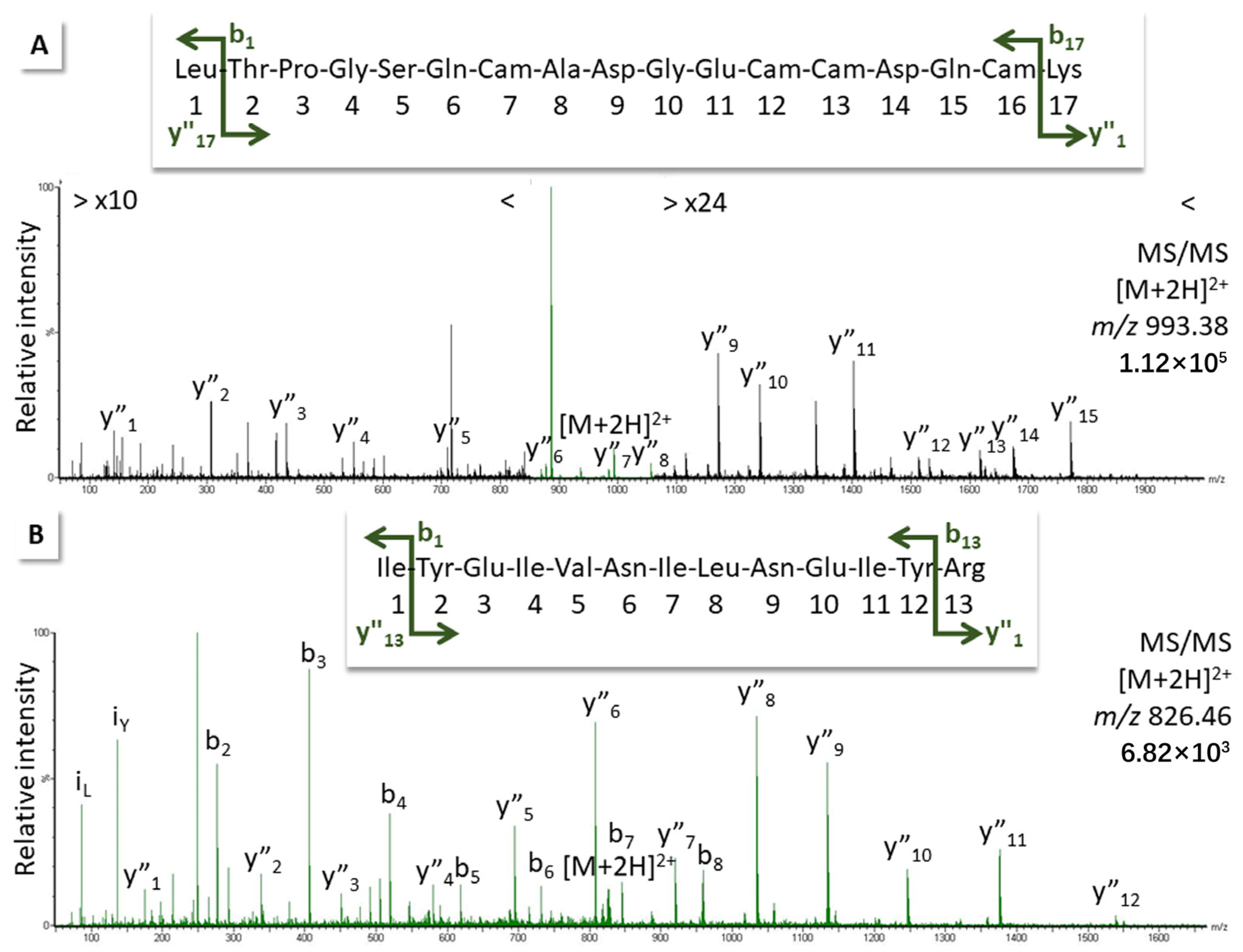 Biomedicines 12 01027 g003a