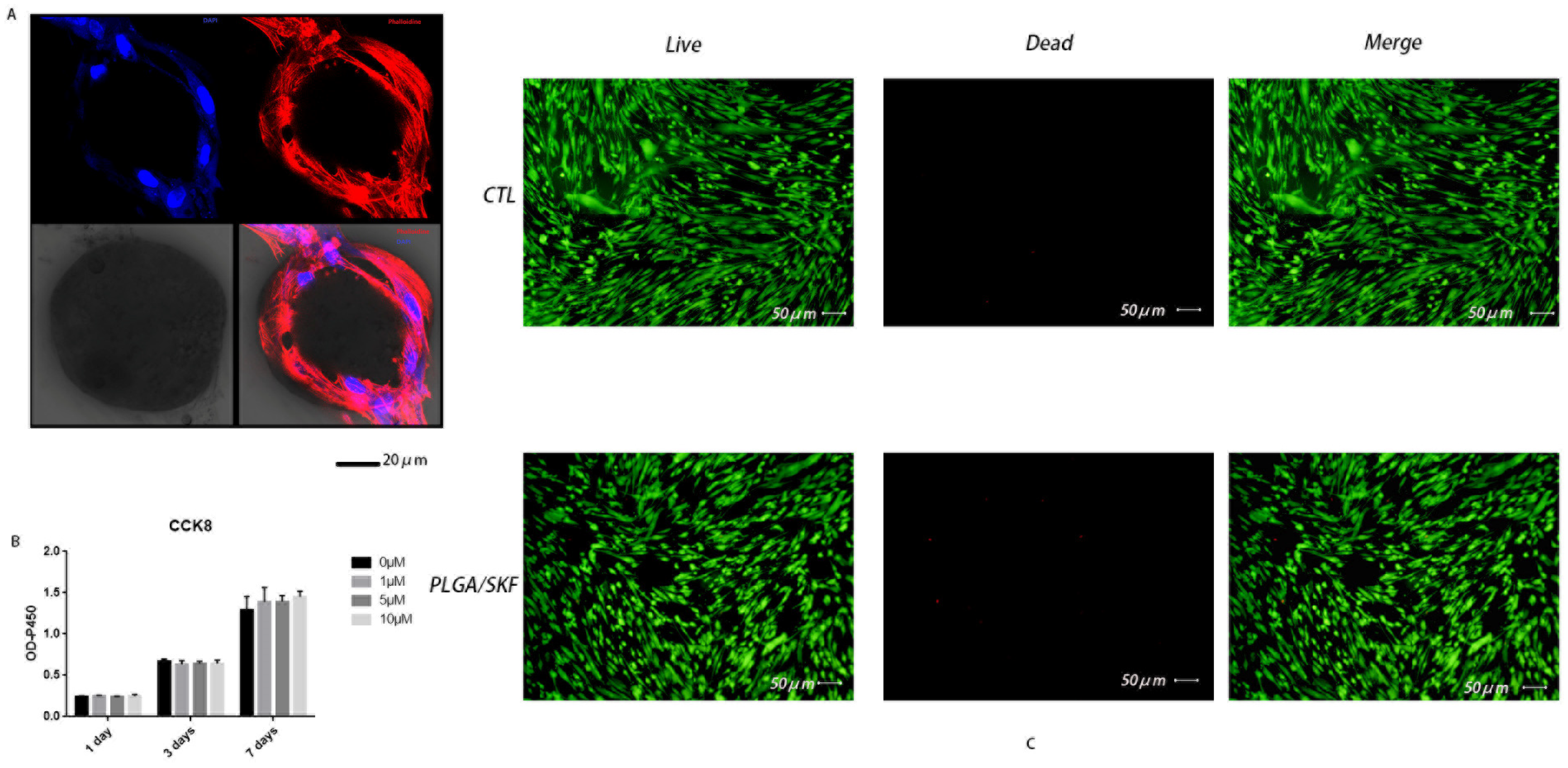 Biomedicines 12 01046 g003