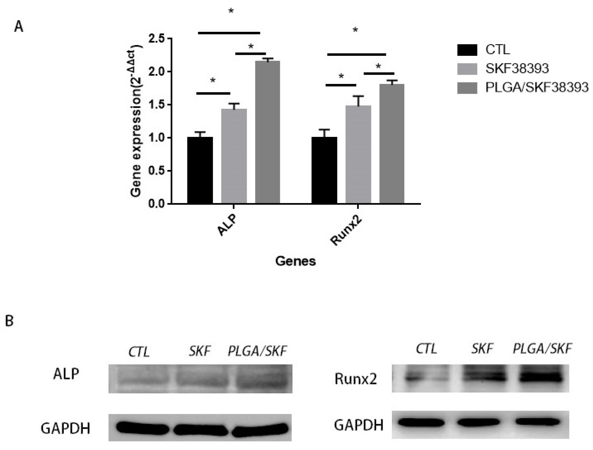 Biomedicines 12 01046 g005