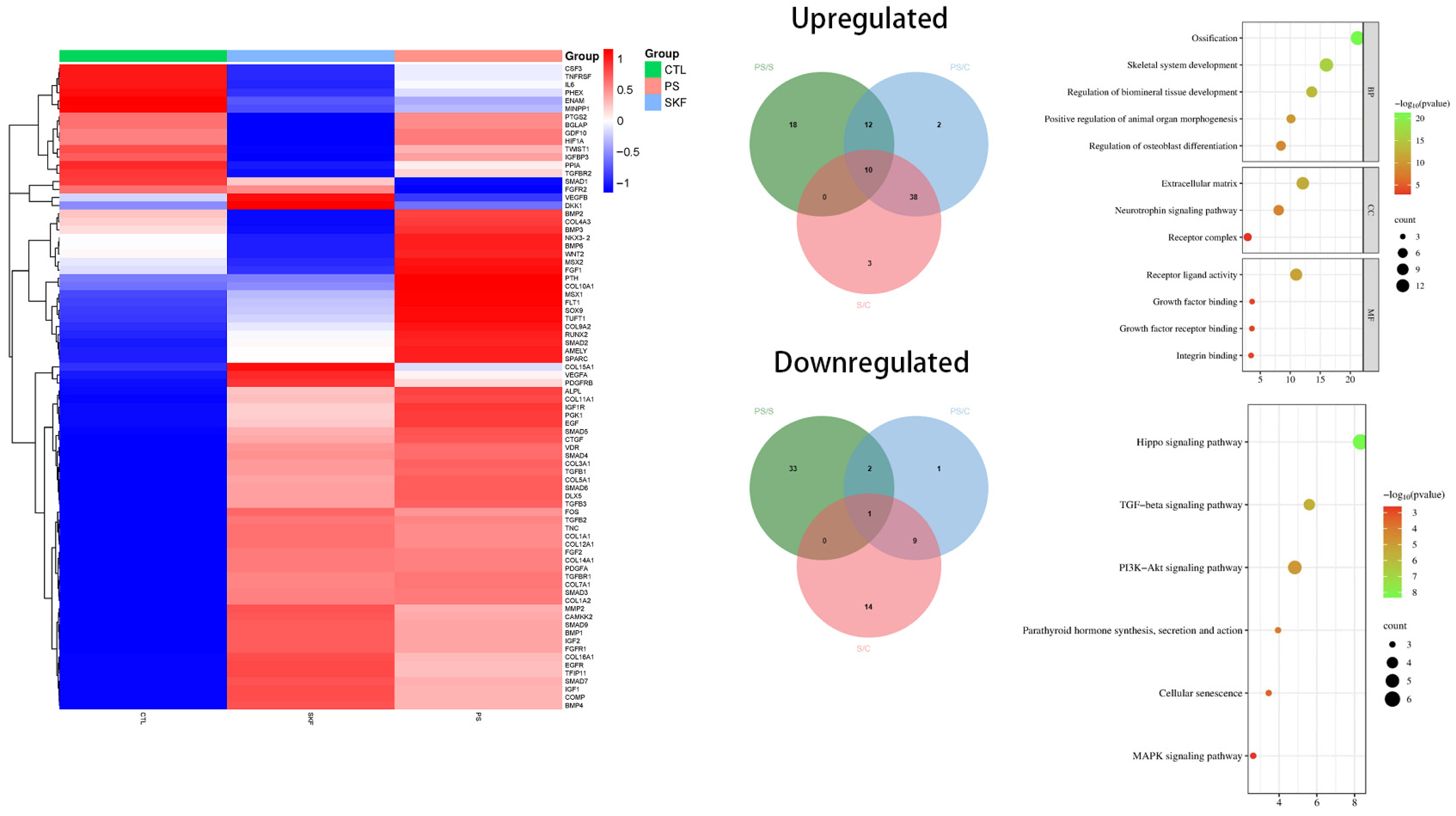 Biomedicines 12 01046 g008