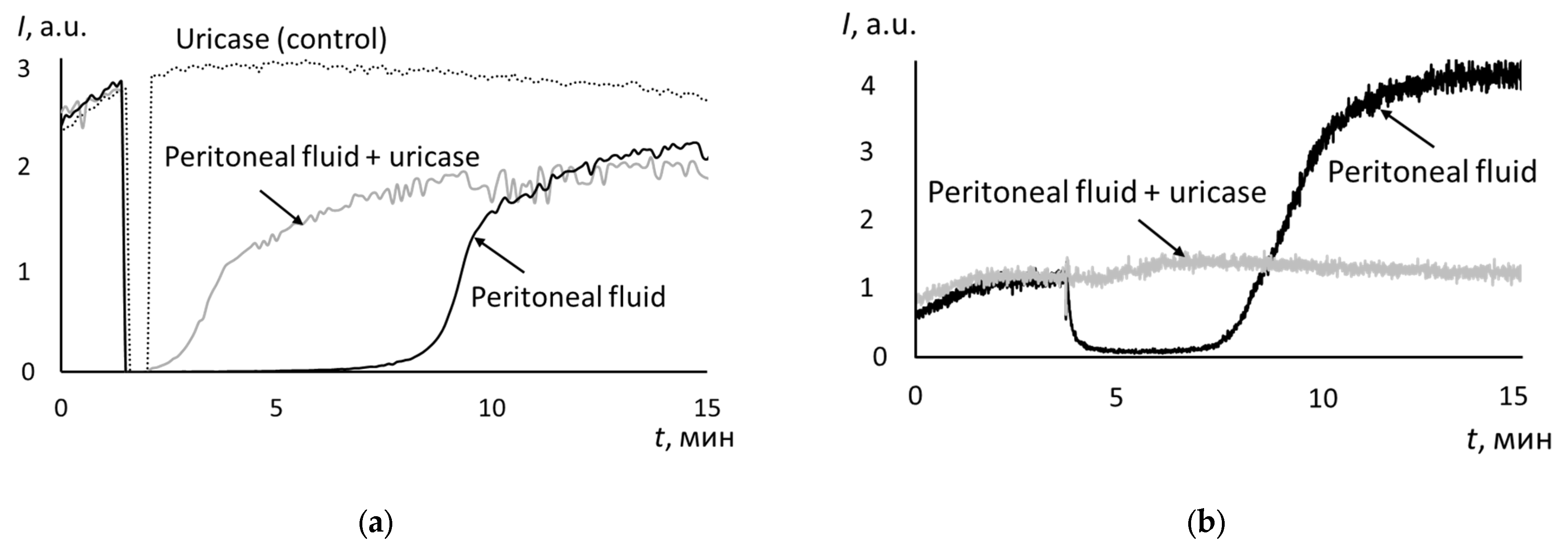 Biomedicines 12 01052 g003