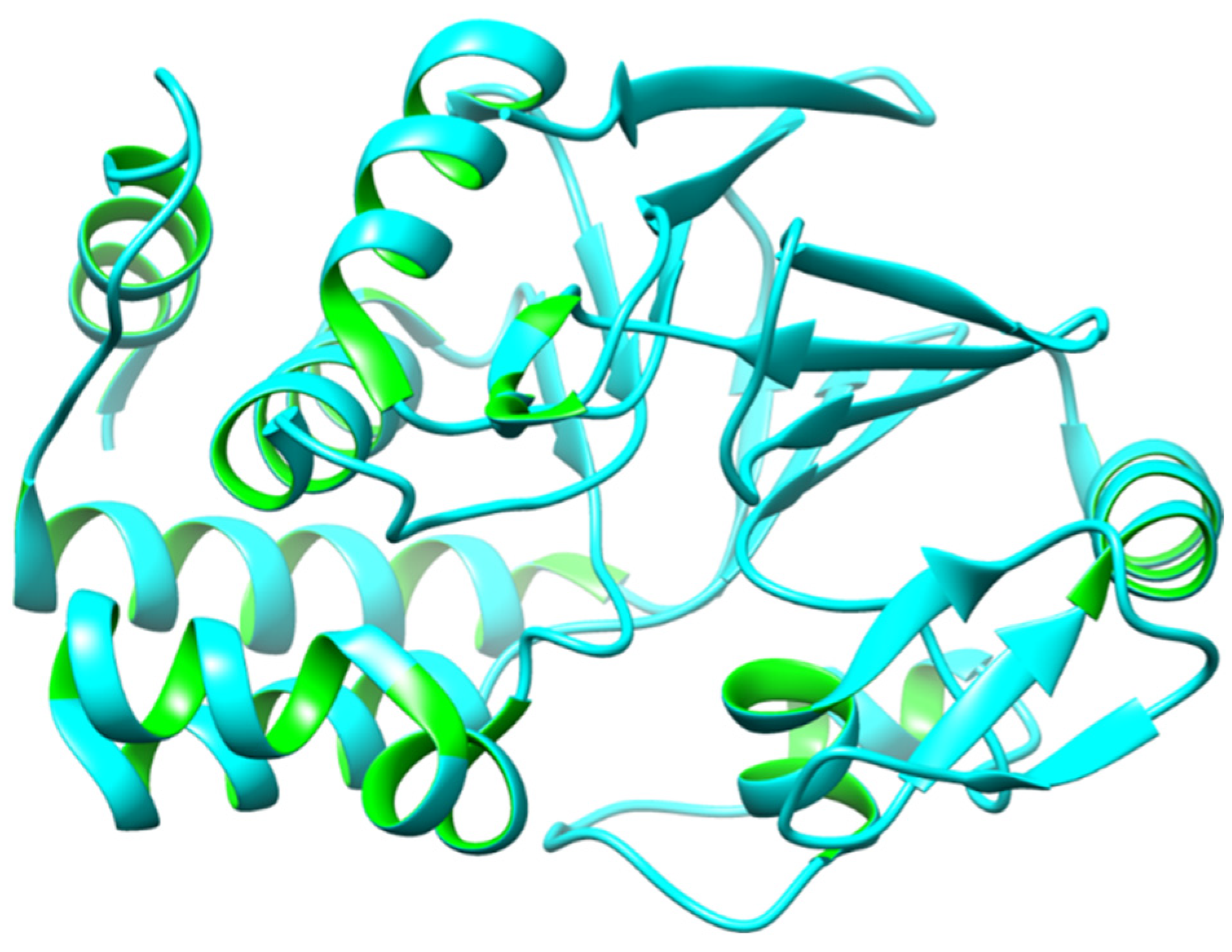 Biomedicines 12 01097 g001