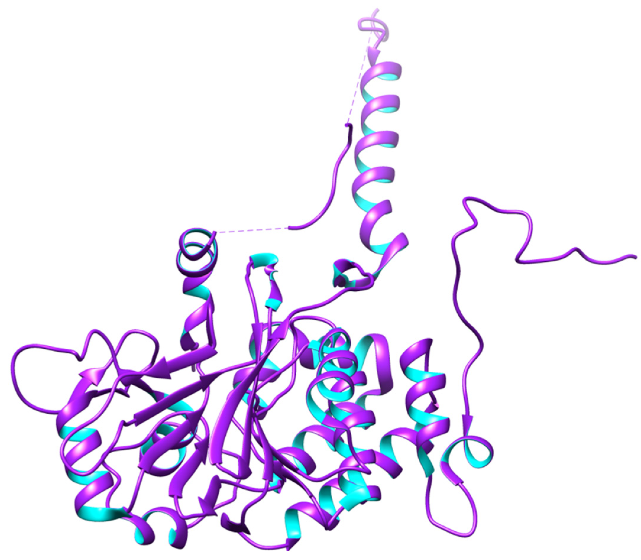 Biomedicines 12 01097 g004