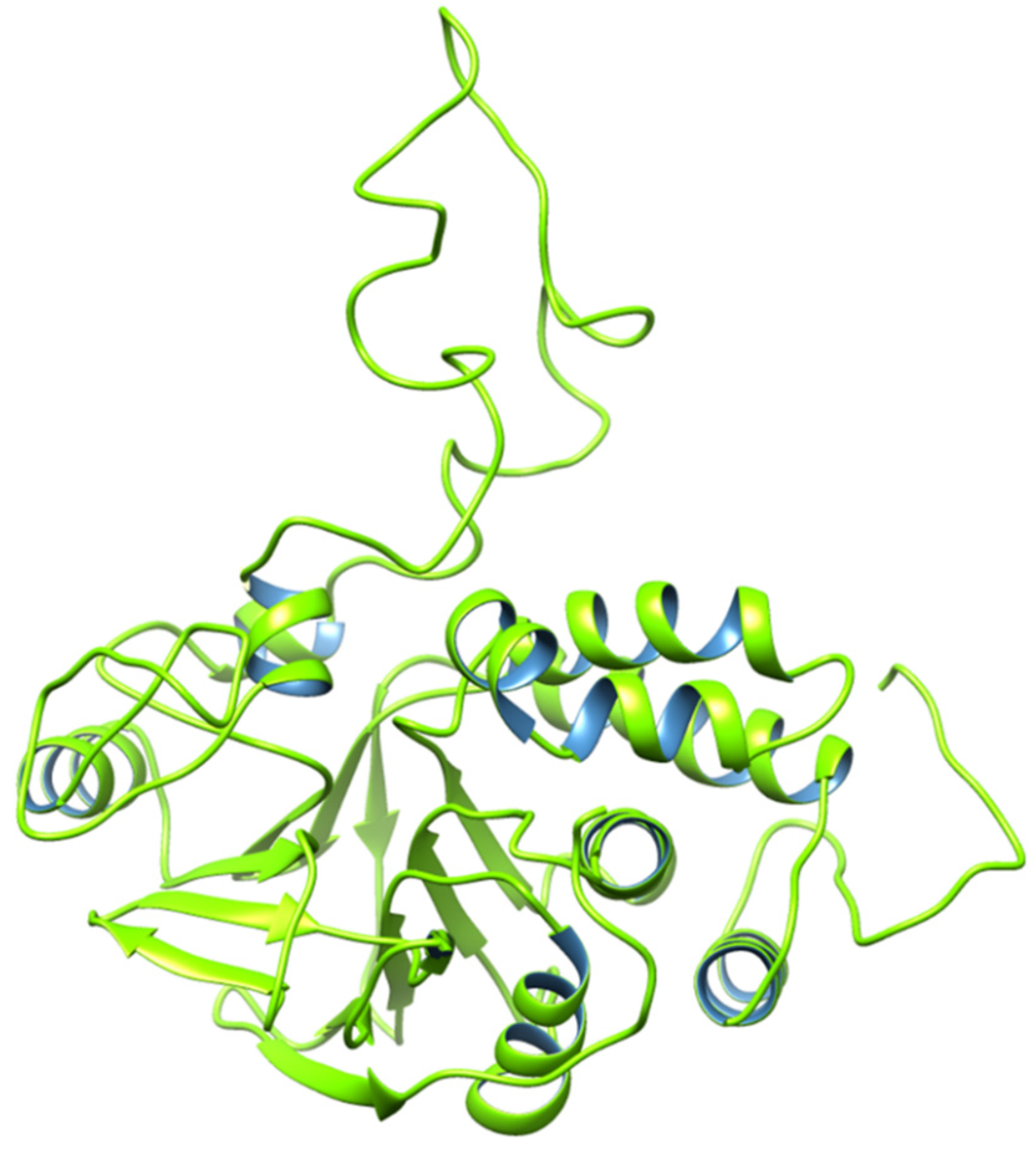 Biomedicines 12 01097 g009