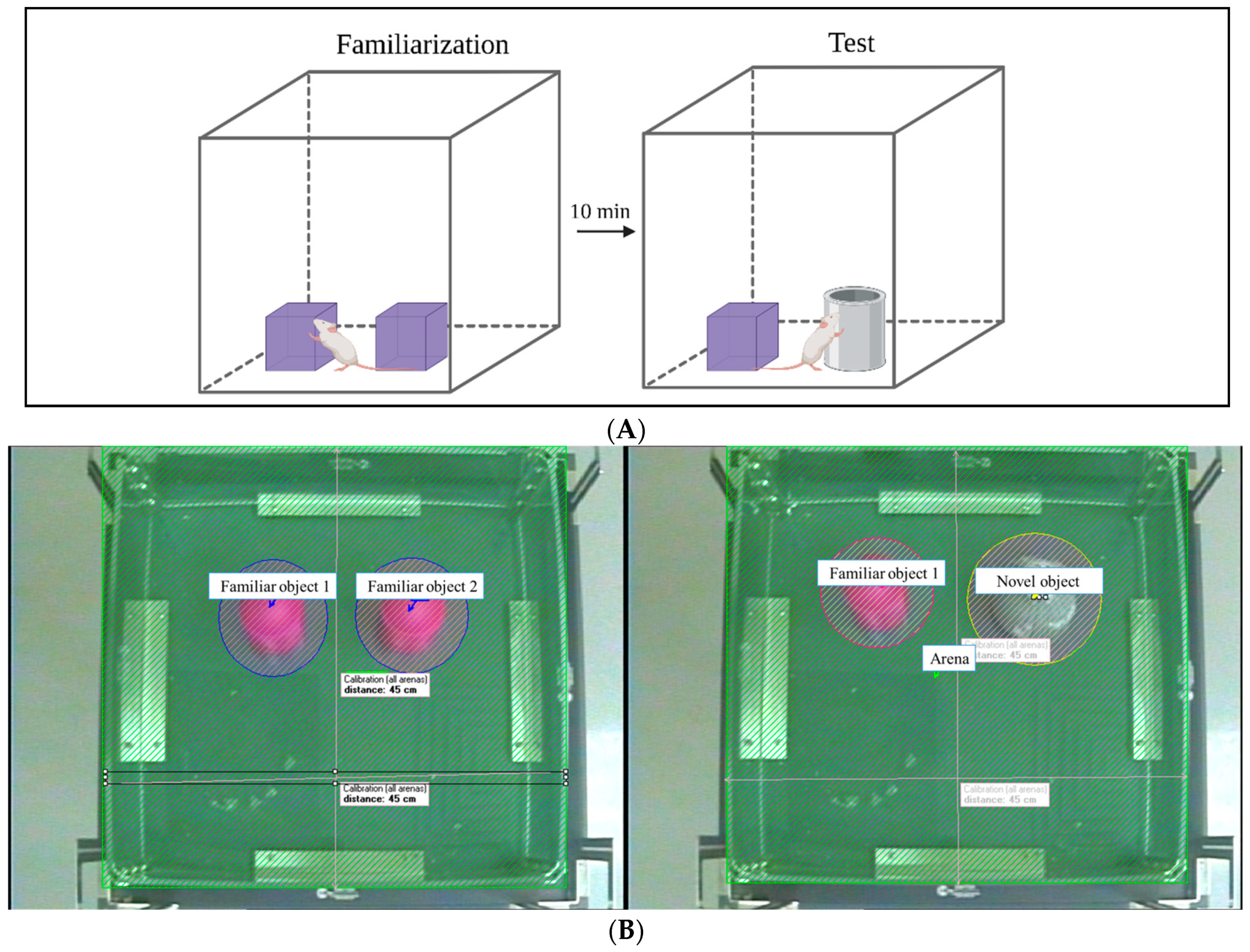 Biomedicines 12 01107 g002