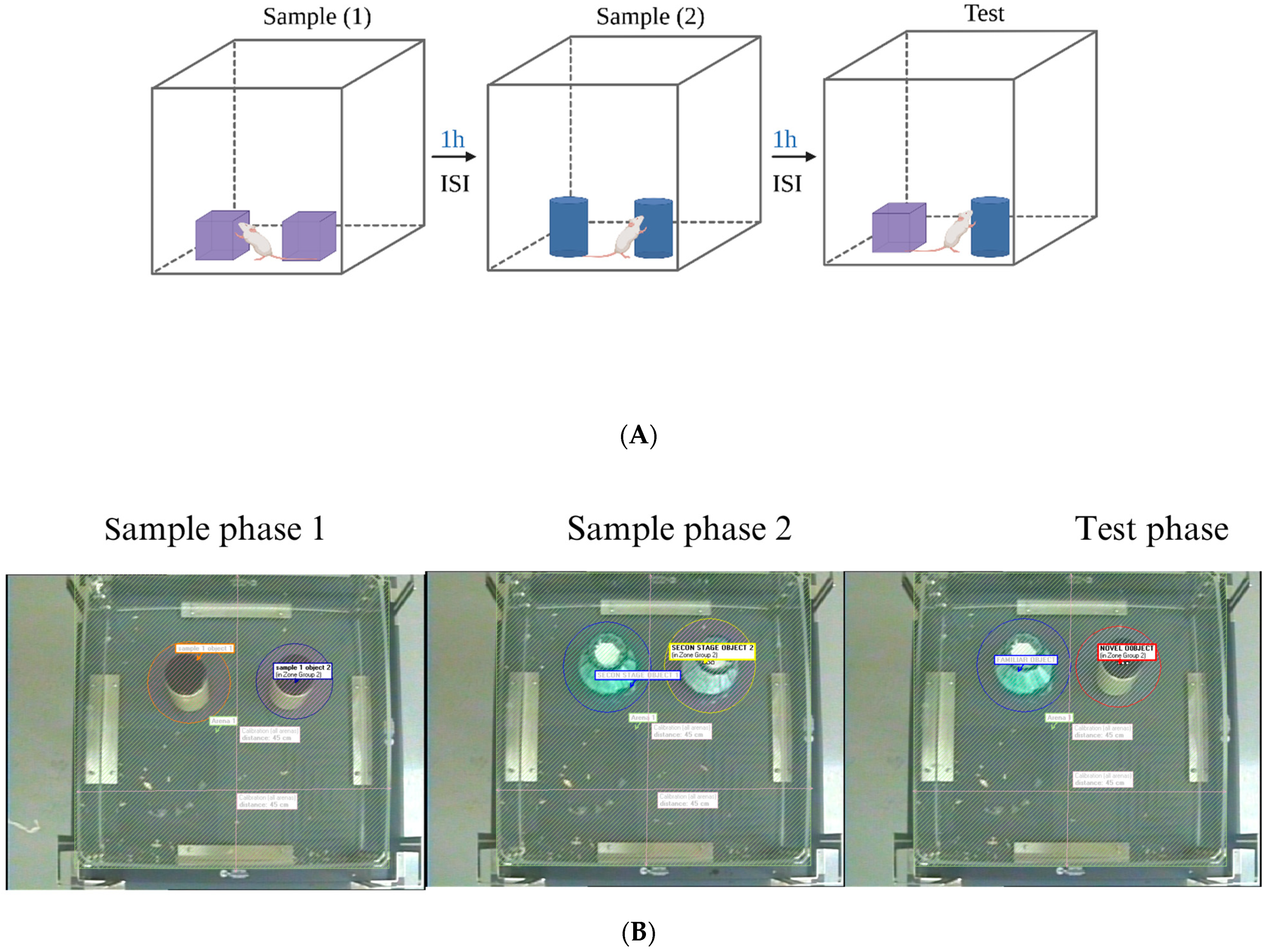 Biomedicines 12 01107 g003