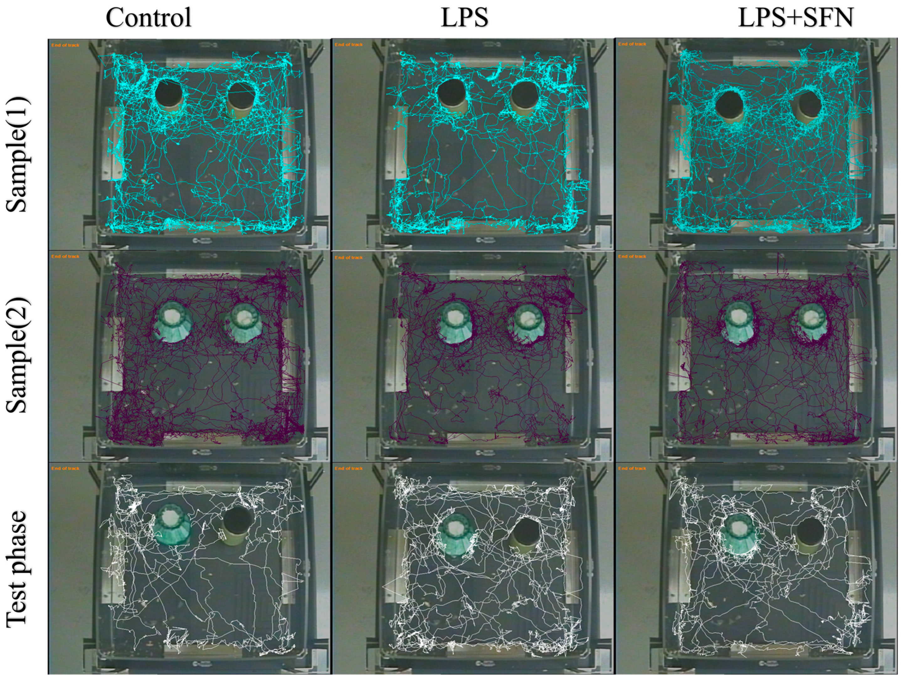 Biomedicines 12 01107 g009