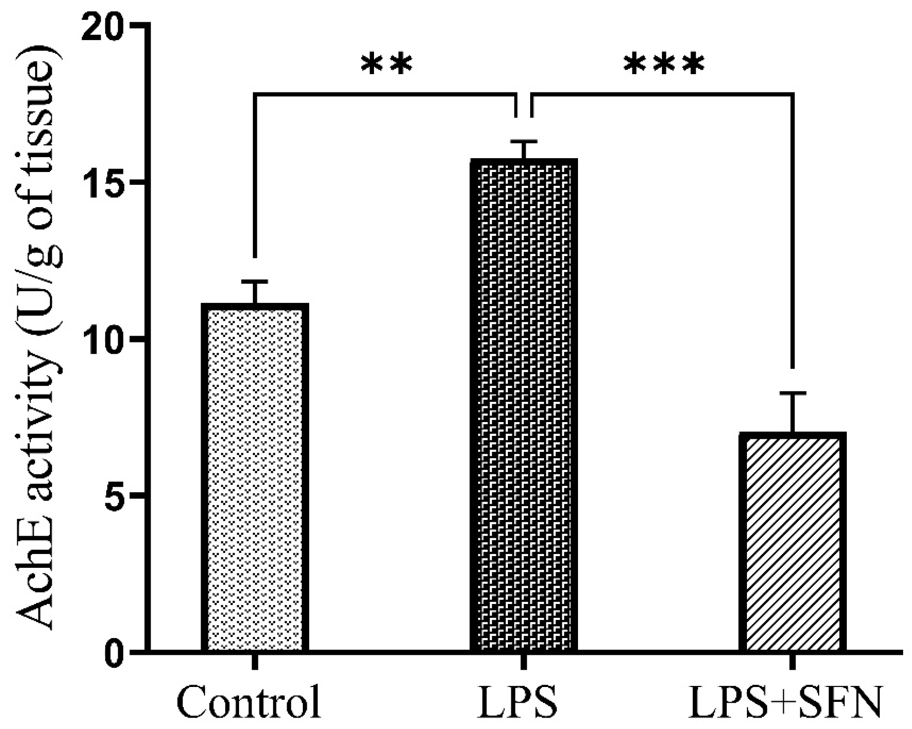 Biomedicines 12 01107 g016