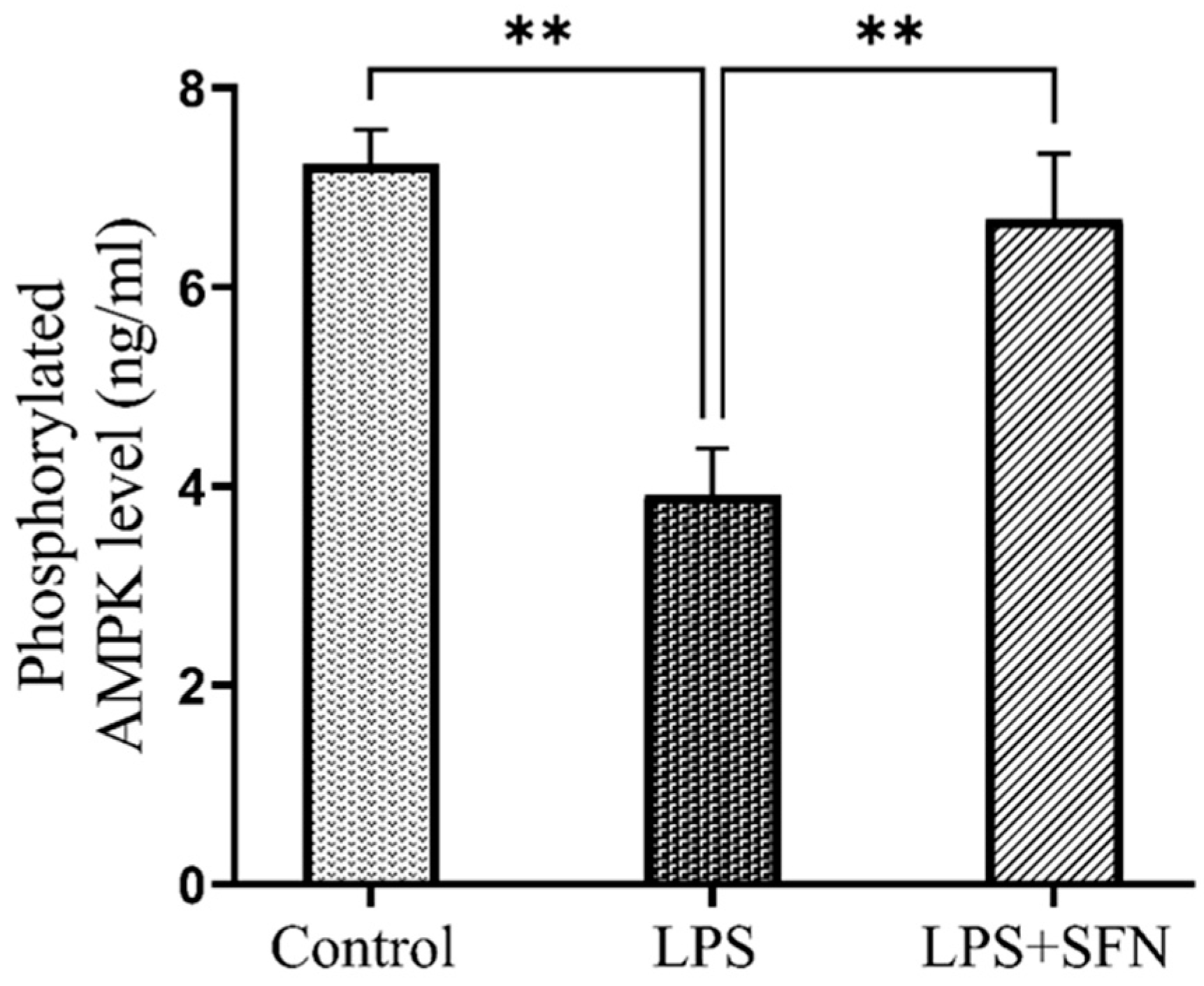 Biomedicines 12 01107 g018